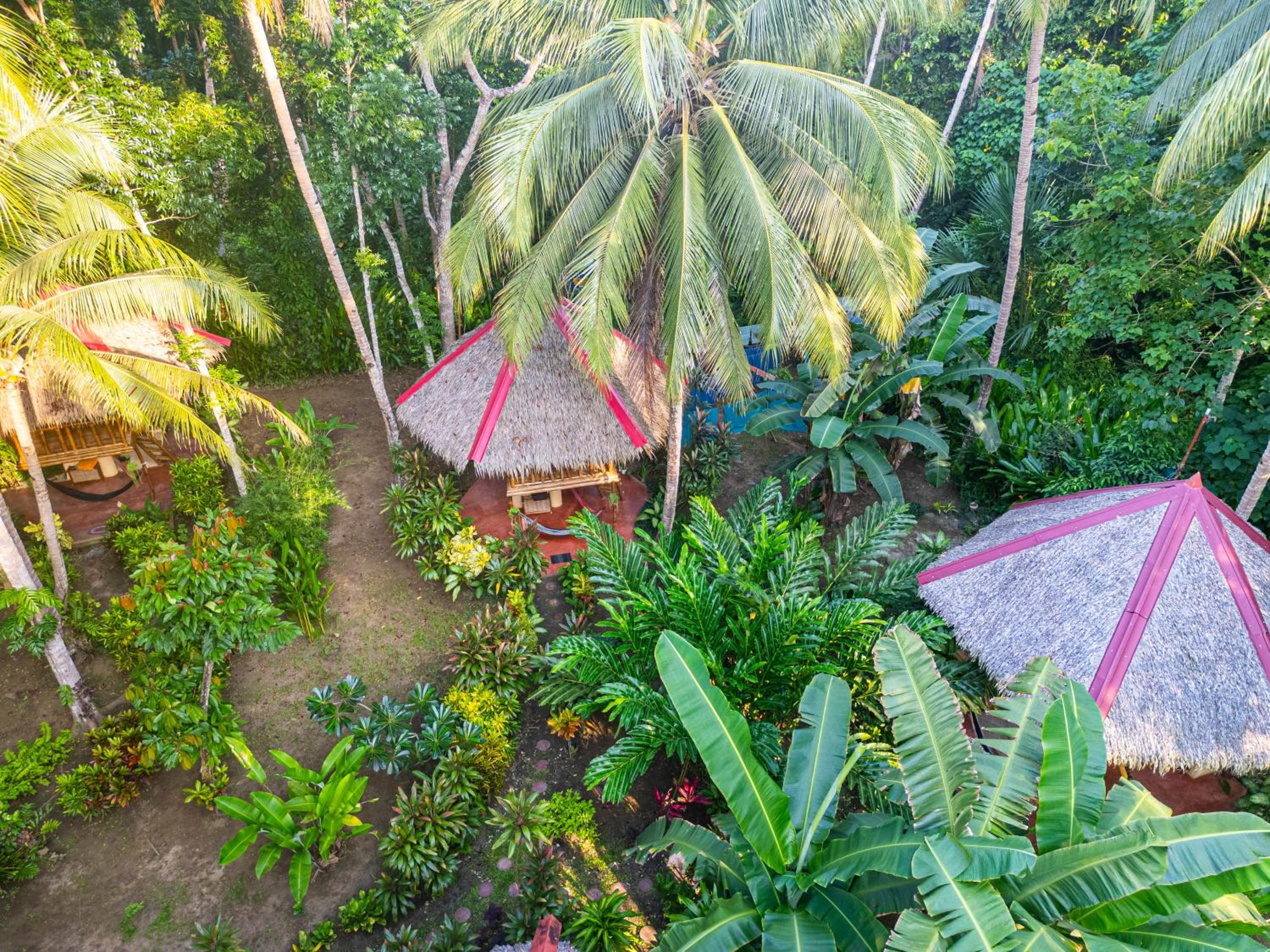 Tree house with private bathroom - Photo 11