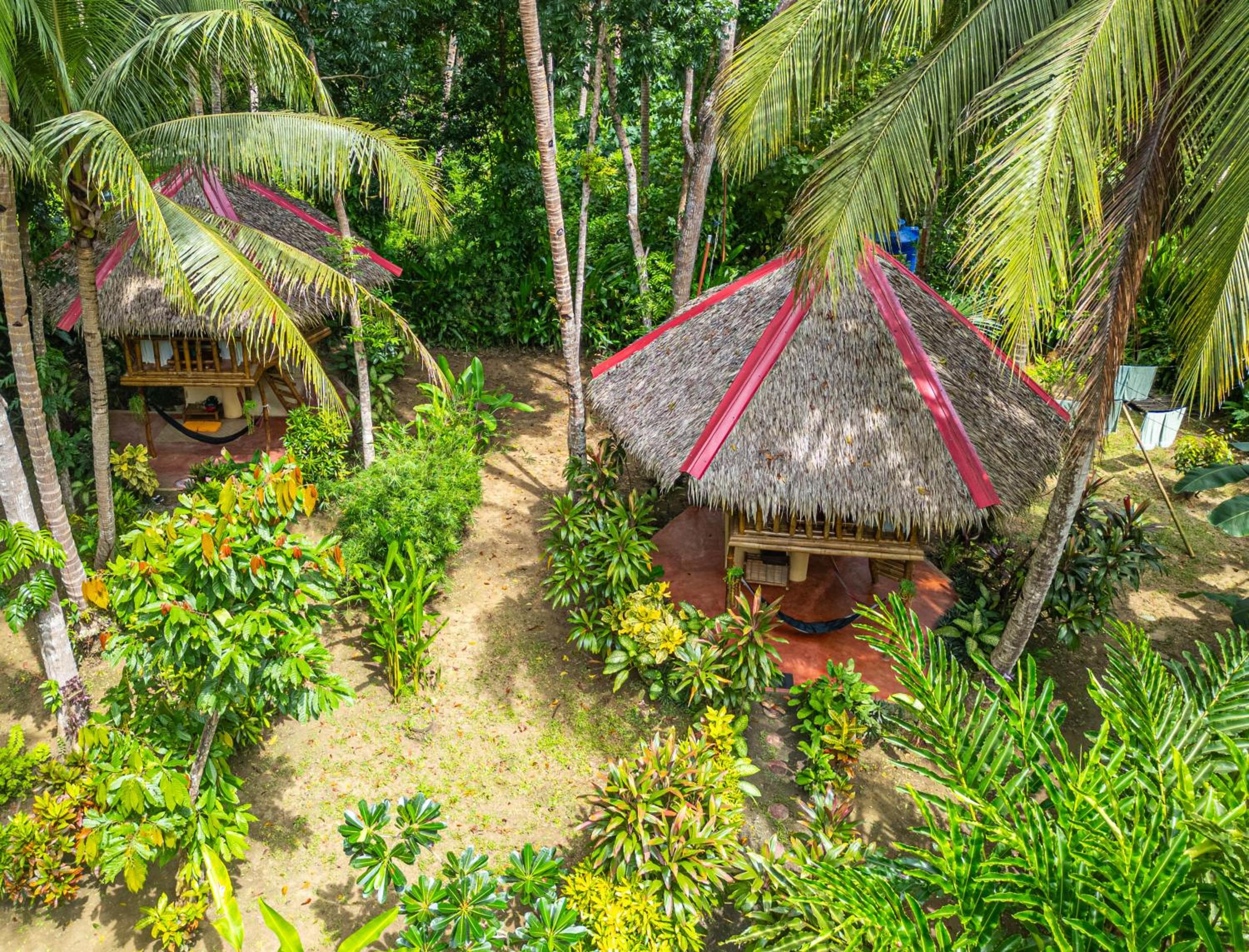 Tree house with private bathroom - Photo 10