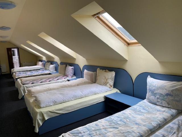 Single Bed in Dormitory Room photo 3