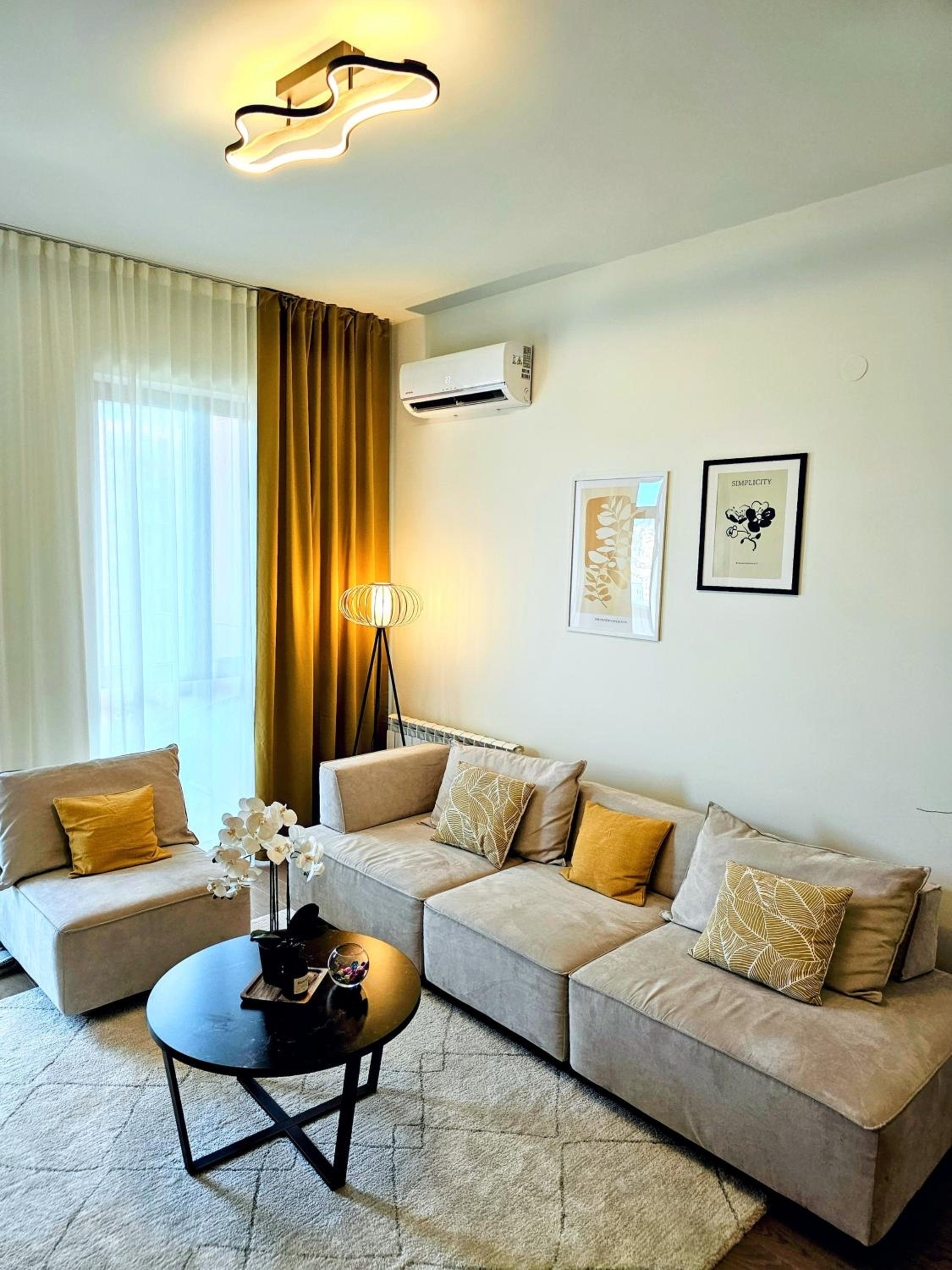 Deluxe One-Bedroom Apartment