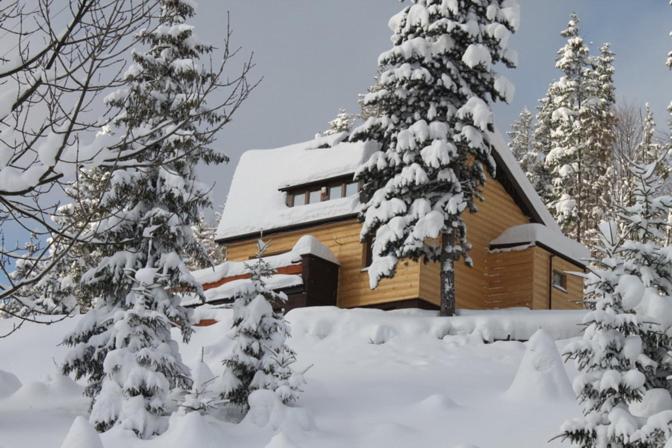 Vacation Home photo 3