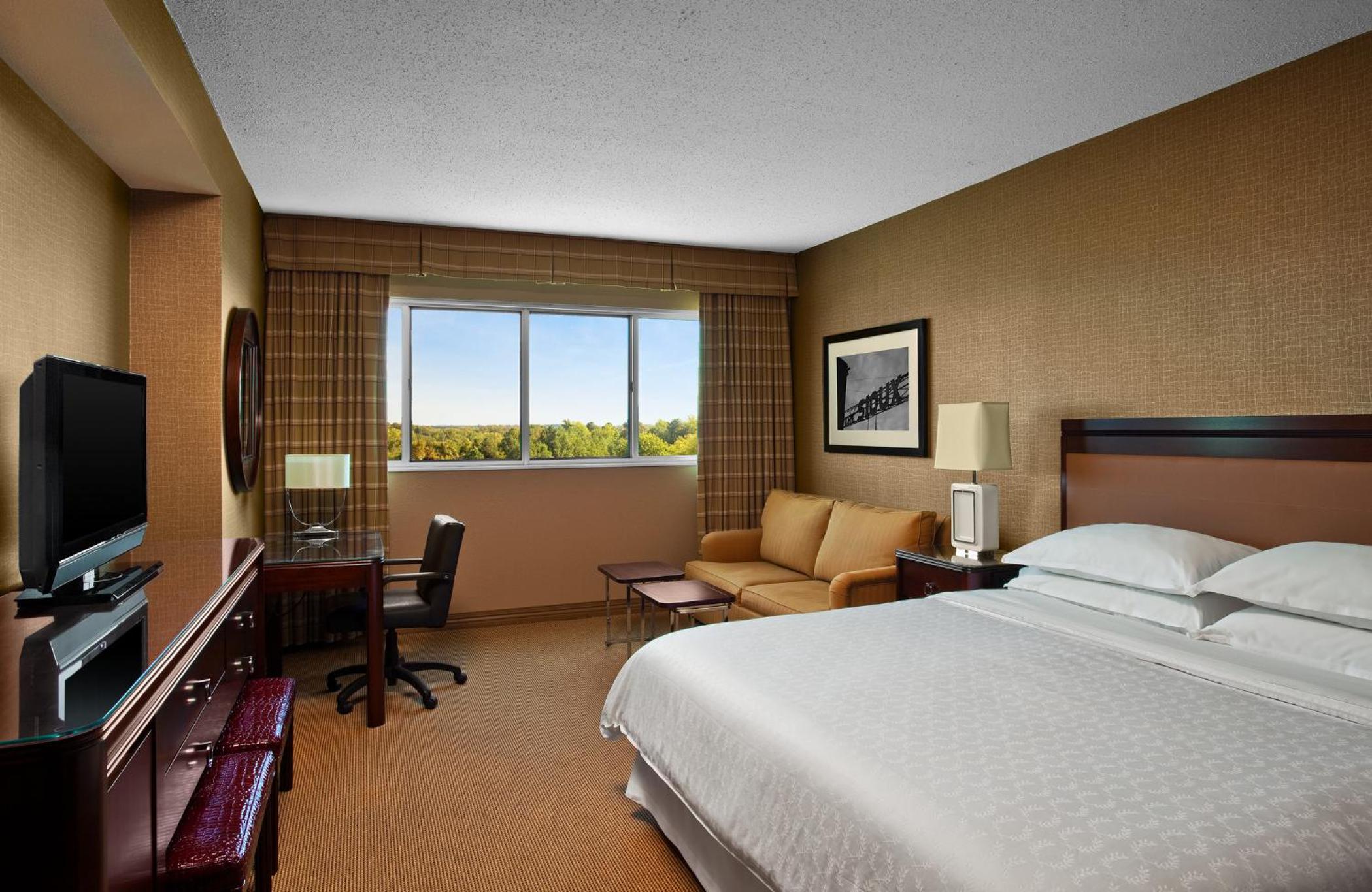 Traditional King Room with Sofa Bed - Atrium Building/Hearing Accessible - Photo 2