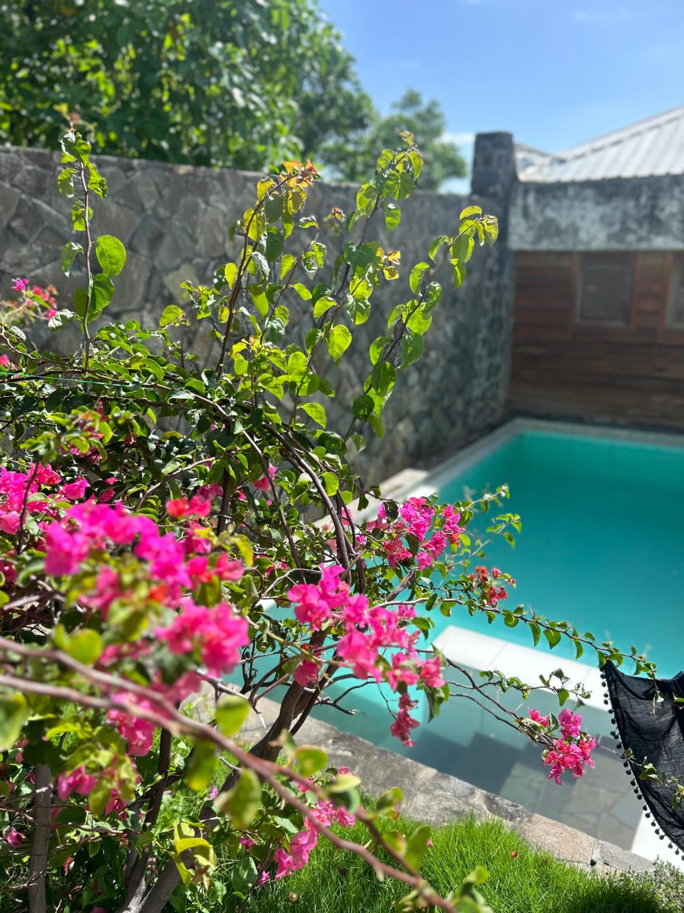 Villa with Sea View photo 3