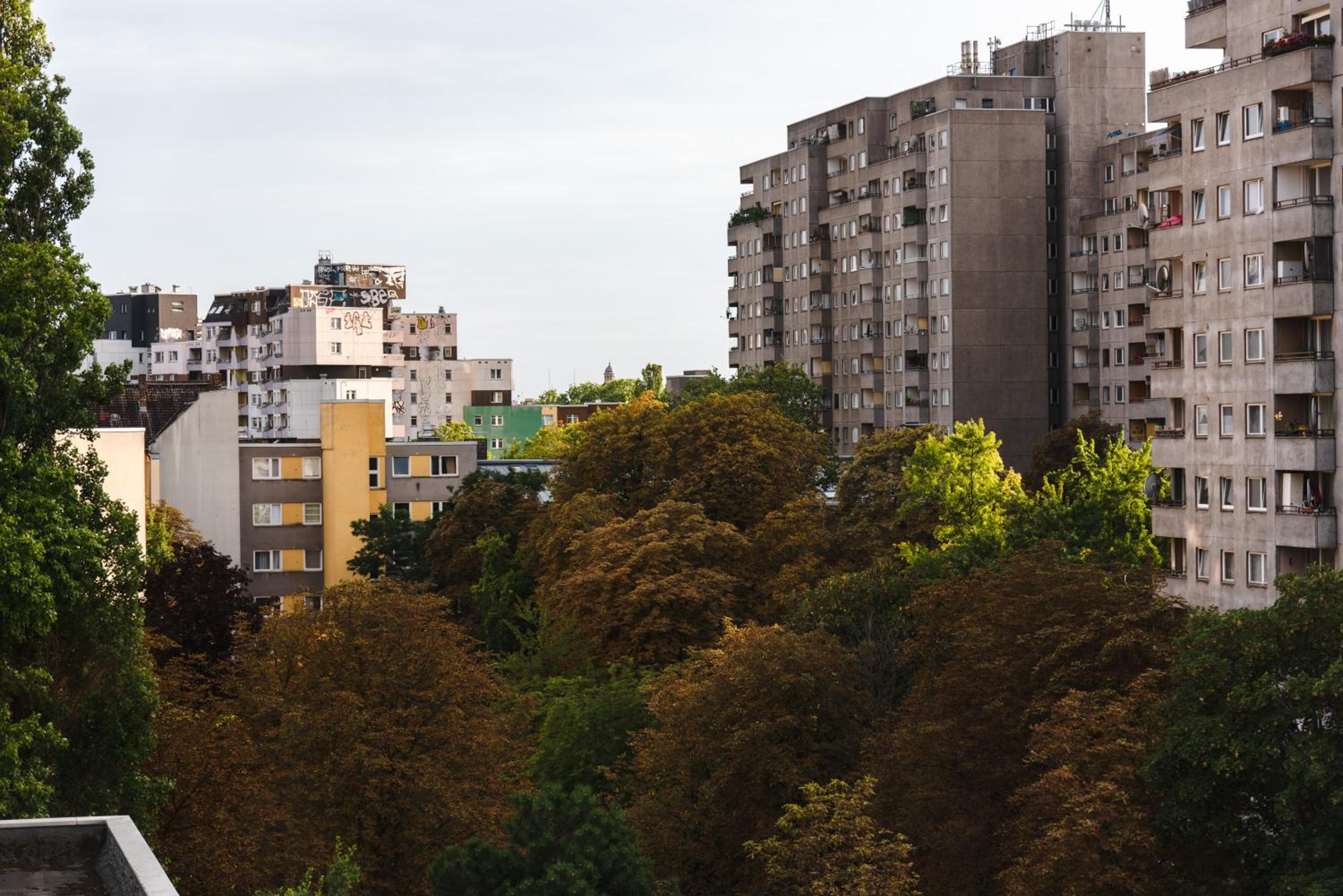 Apartment with Balcony photo 2