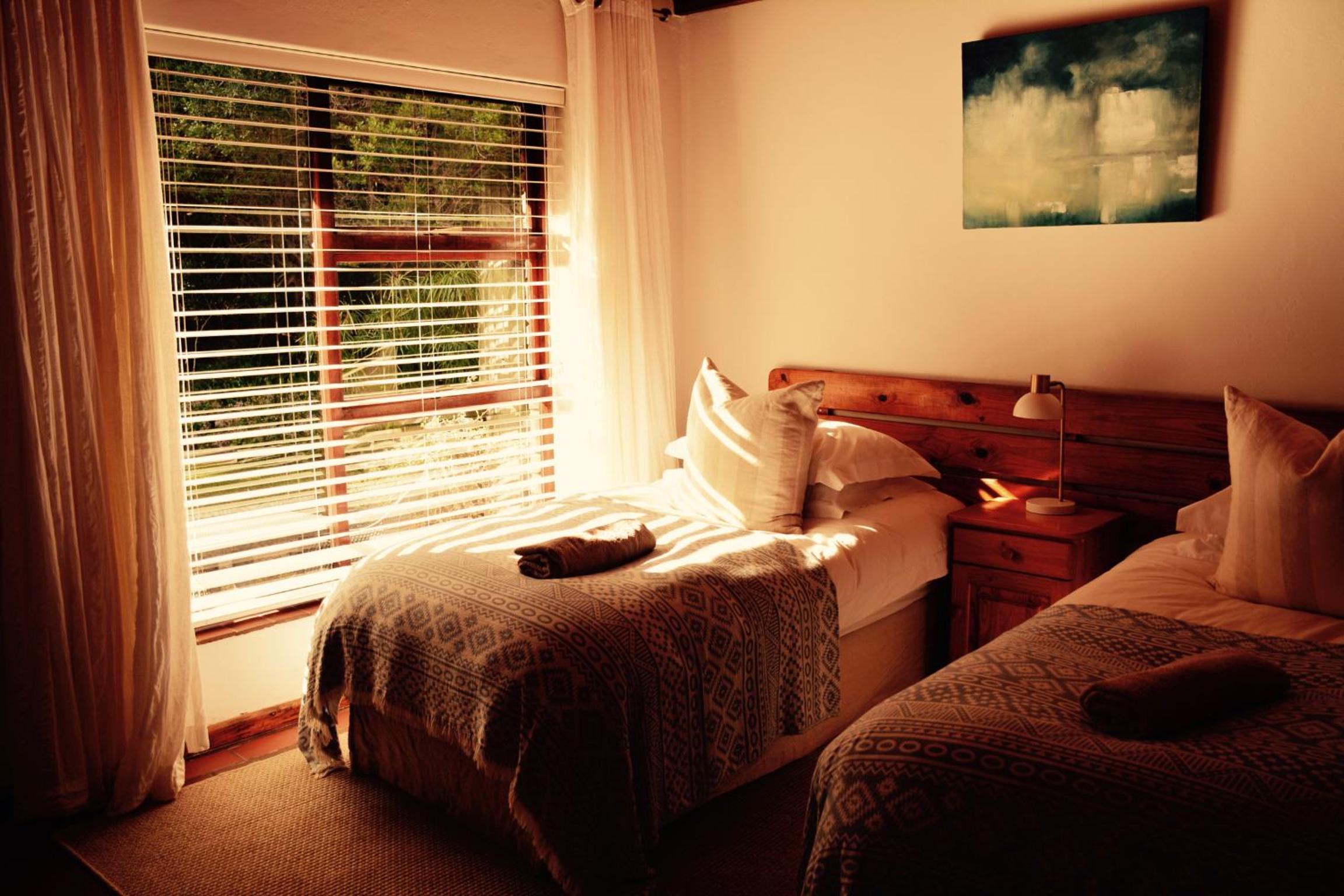 Large Twin Room photo 1
