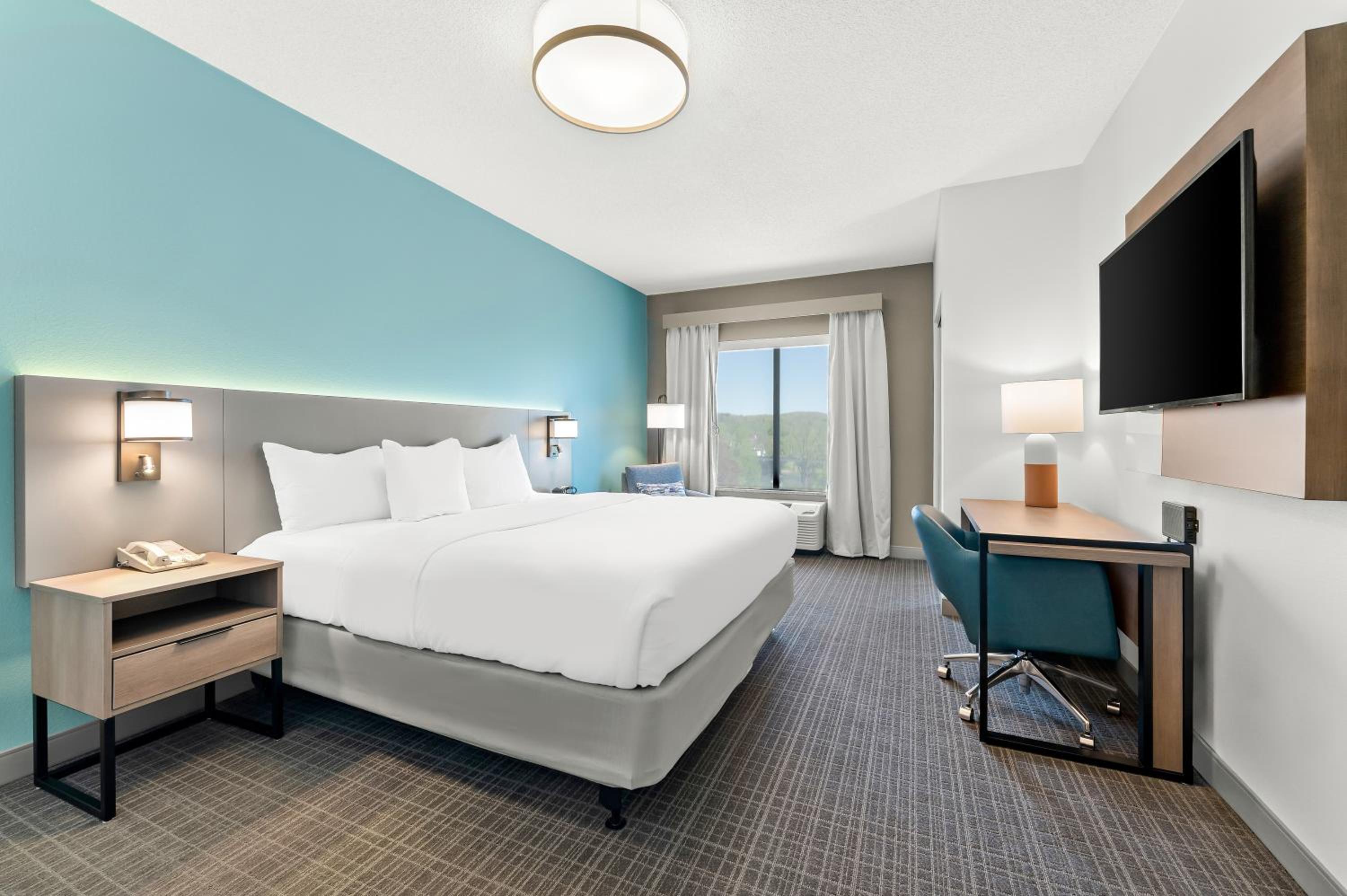 King Suite with Roll-In Shower - Accessible/Non-Smoking - Photo 1