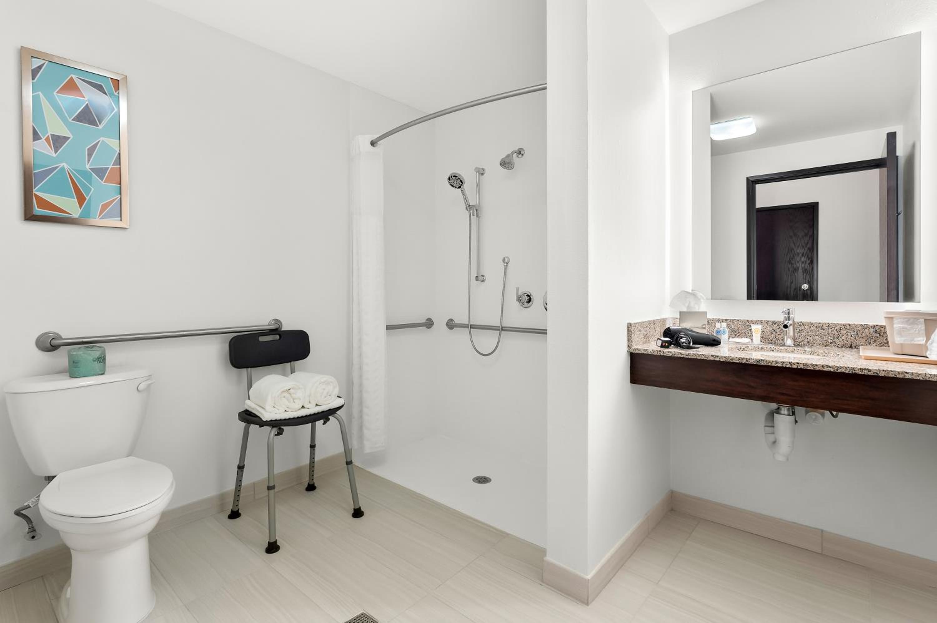 King Suite with Roll-In Shower - Accessible/Non-Smoking - Photo 5
