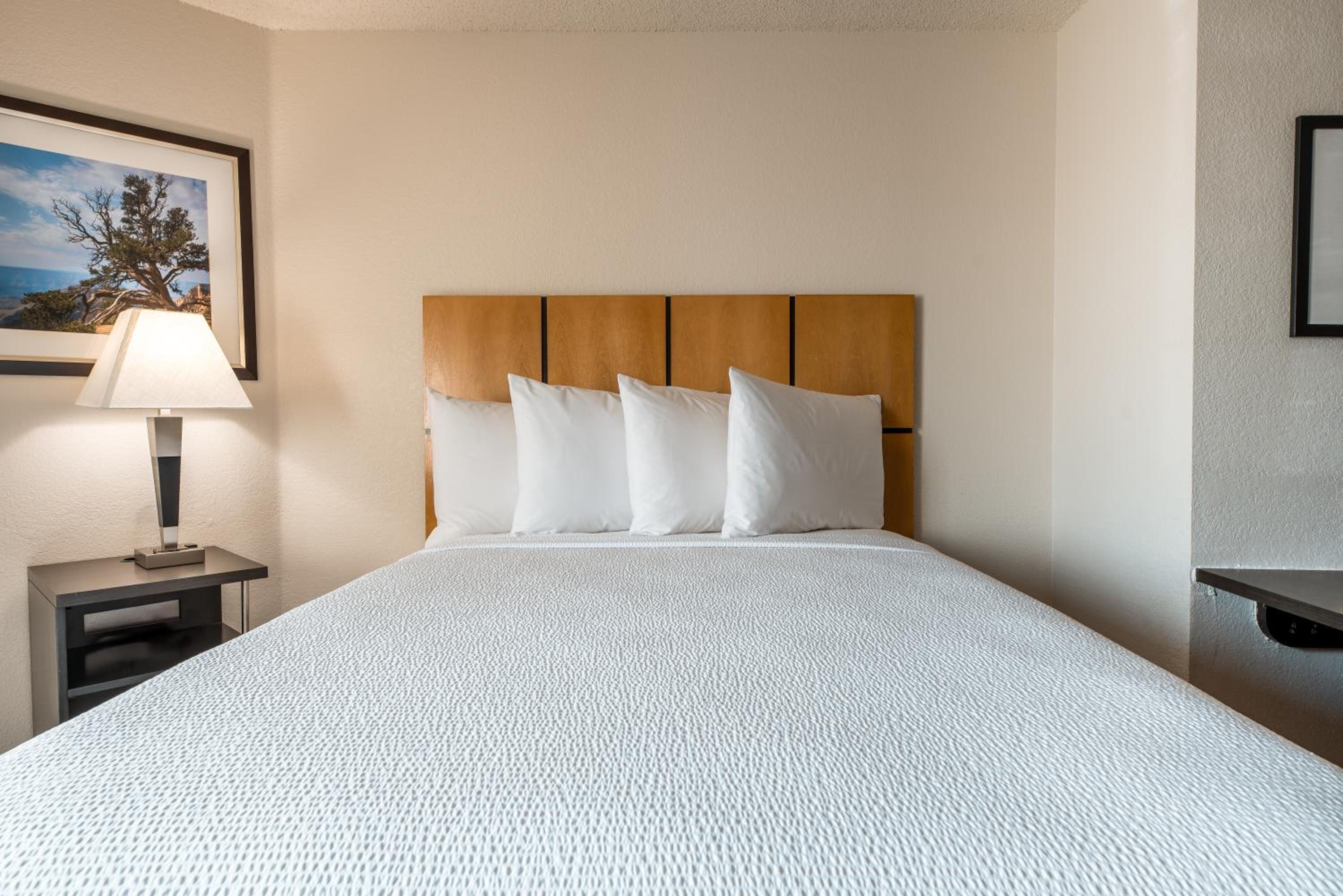 One-Bedroom Suite - Photo 4