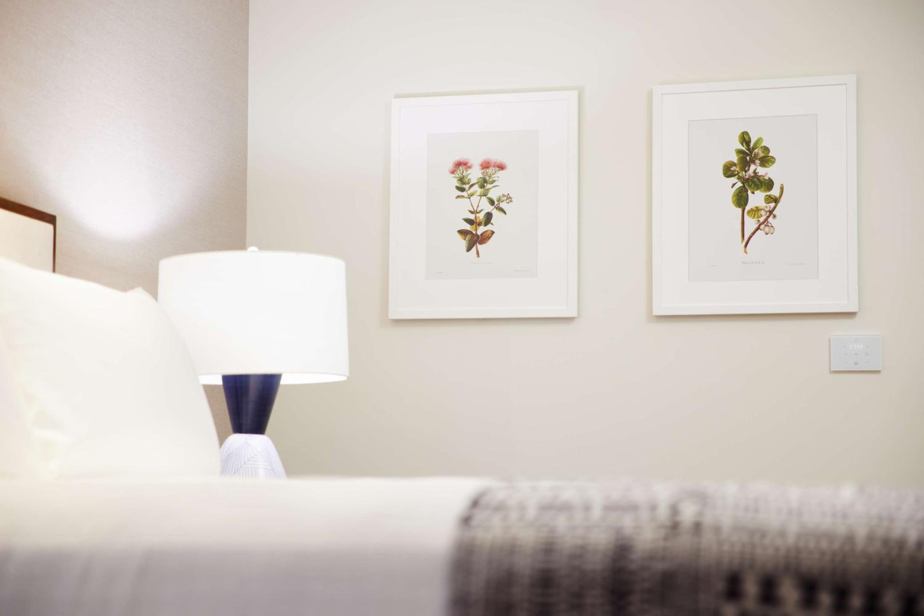 Accessible Premium Oceanfront 2 Queen Beds thumbnail 5