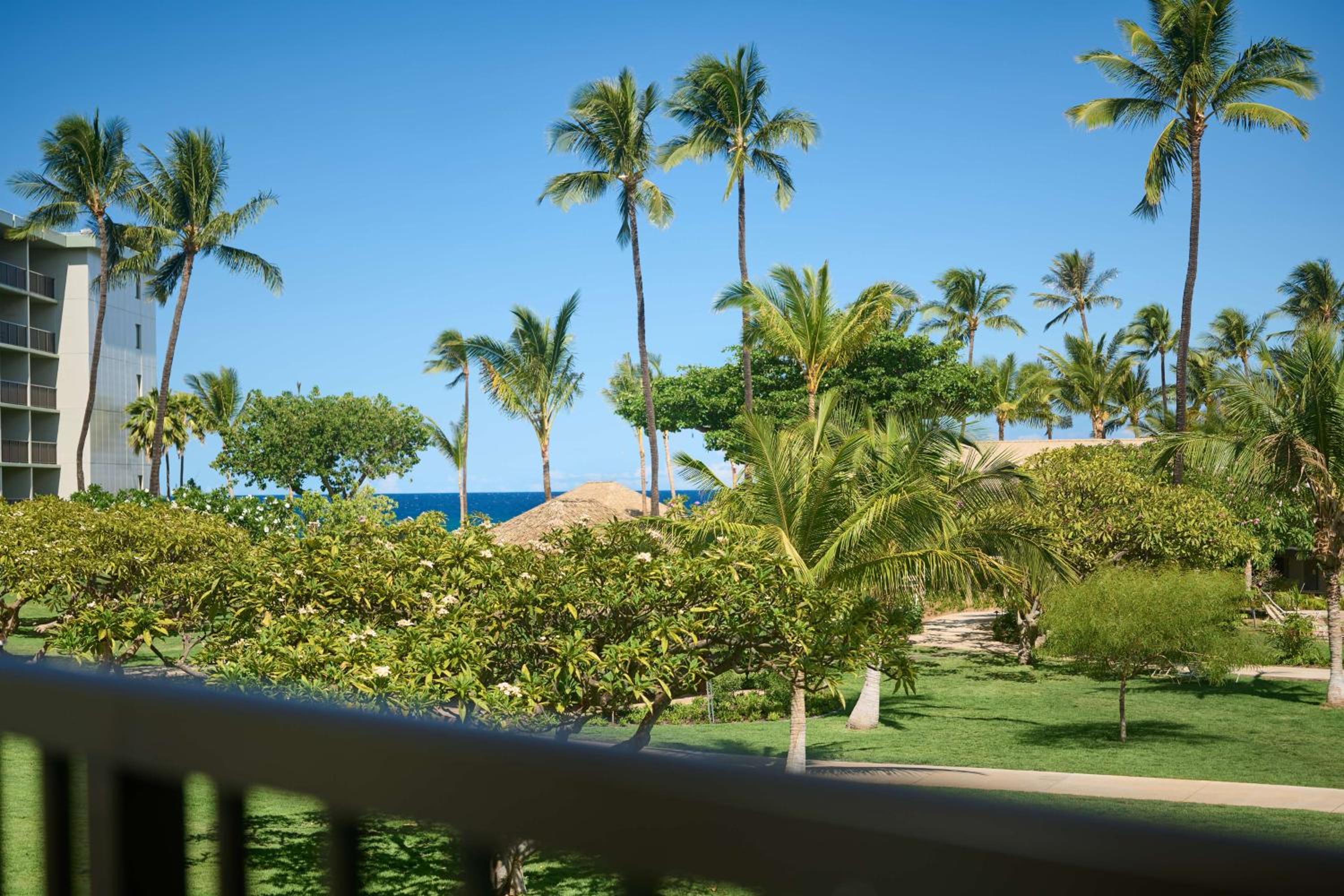 Premium Partial Ocean View 1 King Bed