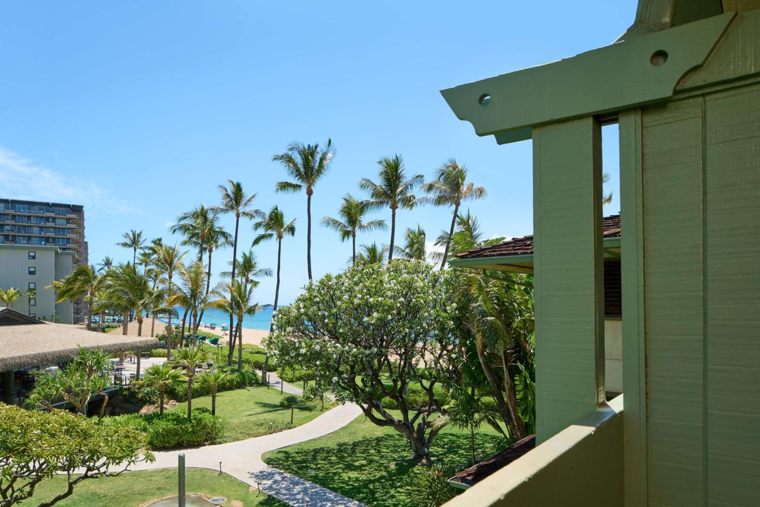 Signature Accessible Ocean View 2 Queen Beds thumbnail 5
