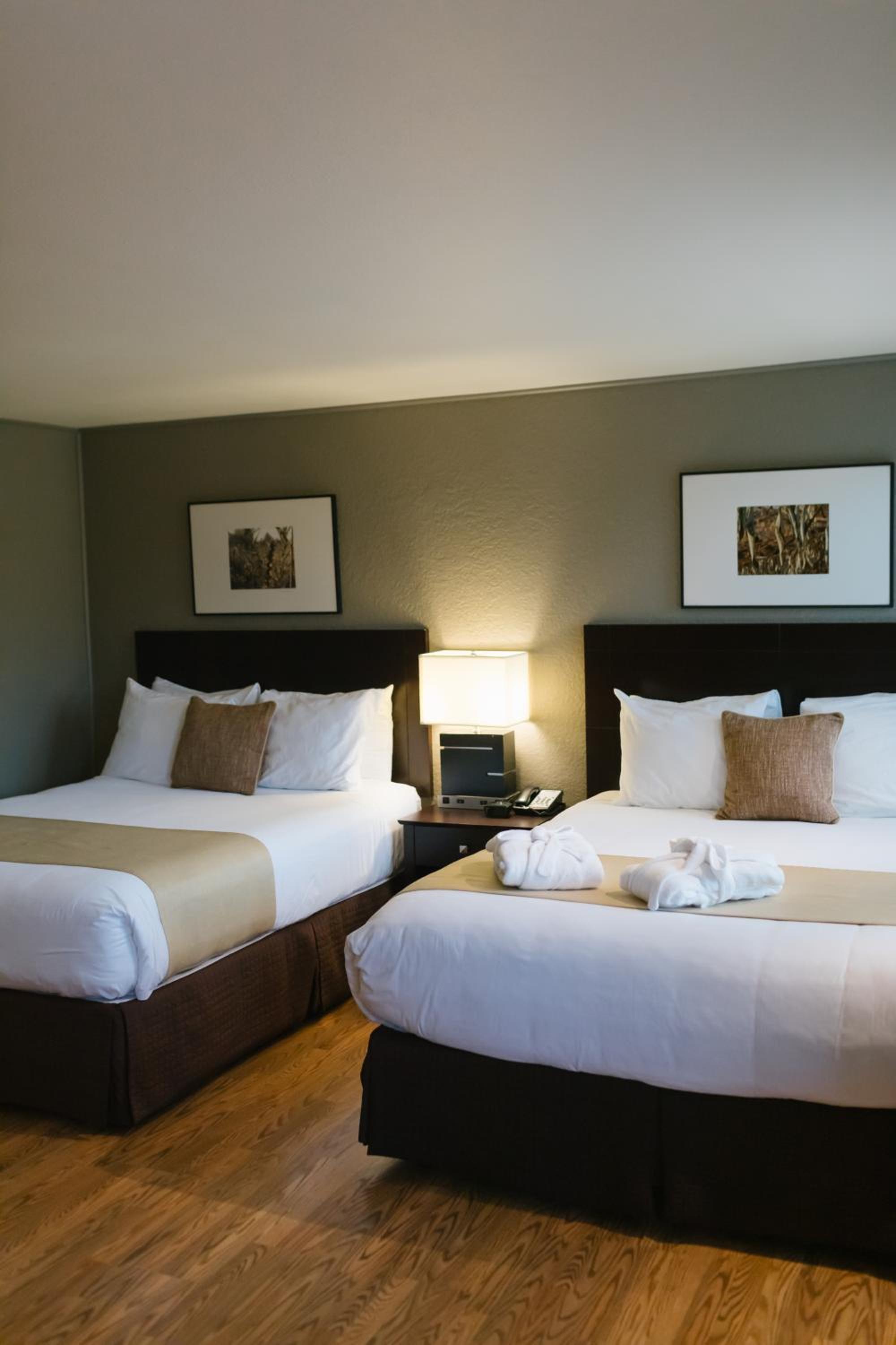 Deluxe Queen Room with Two Queen Beds - Non-Smoking
