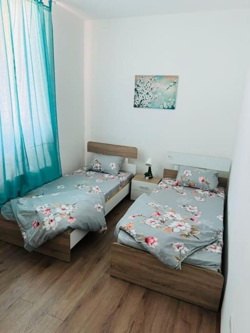 One-Bedroom House photo 3