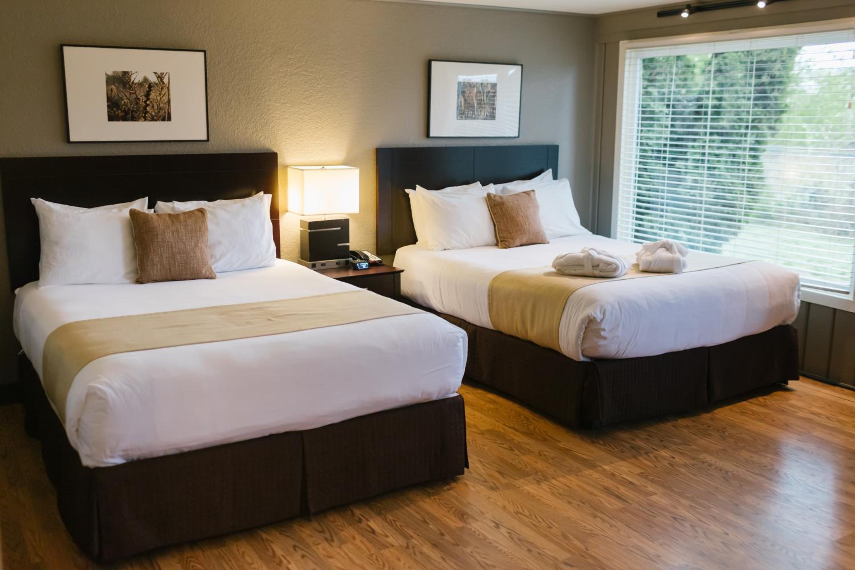 Deluxe Queen Room with Two Queen Beds - Non-Smoking photo 3
