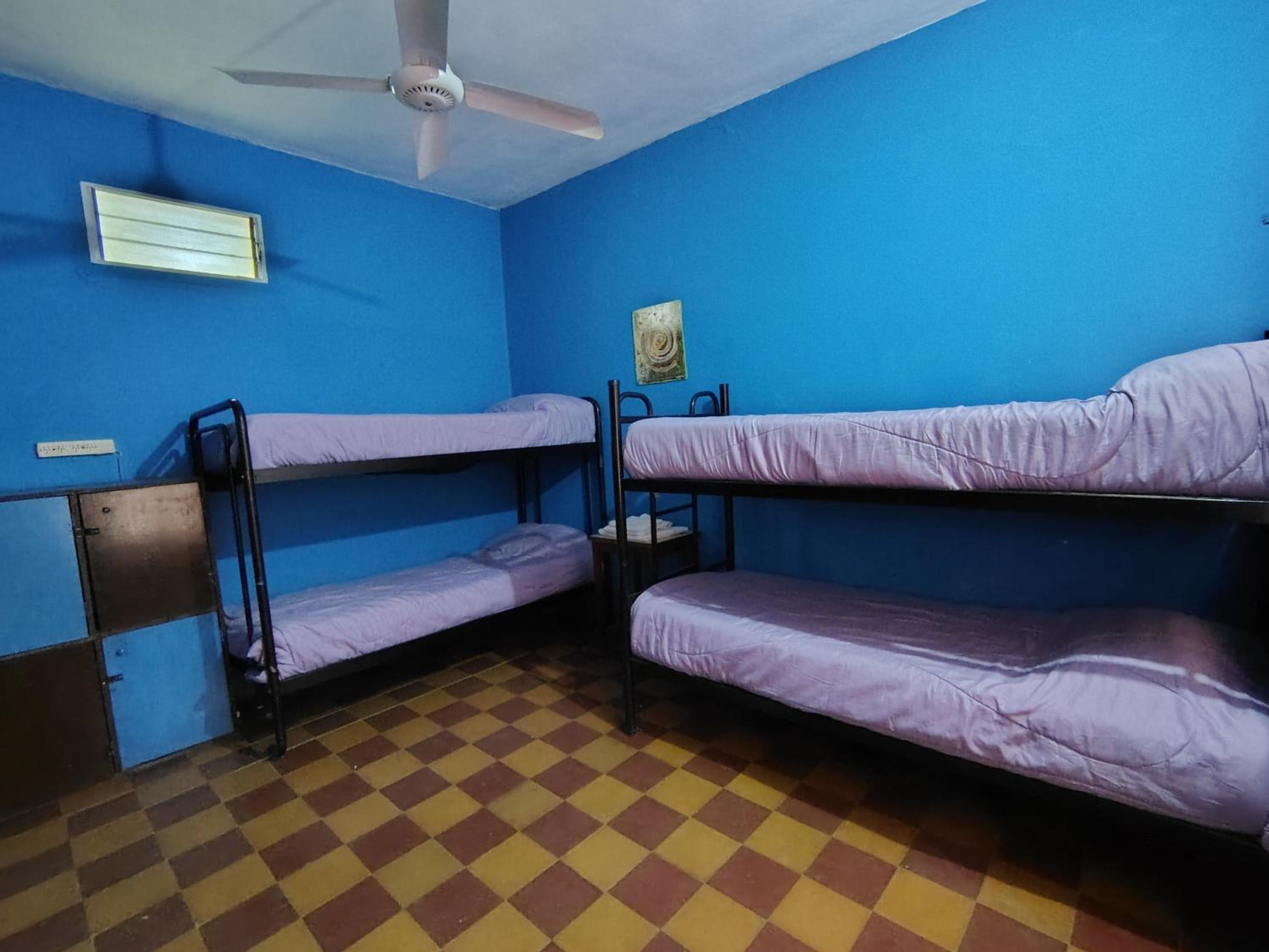Bunk Bed in Female Dormitory Room   photo 1