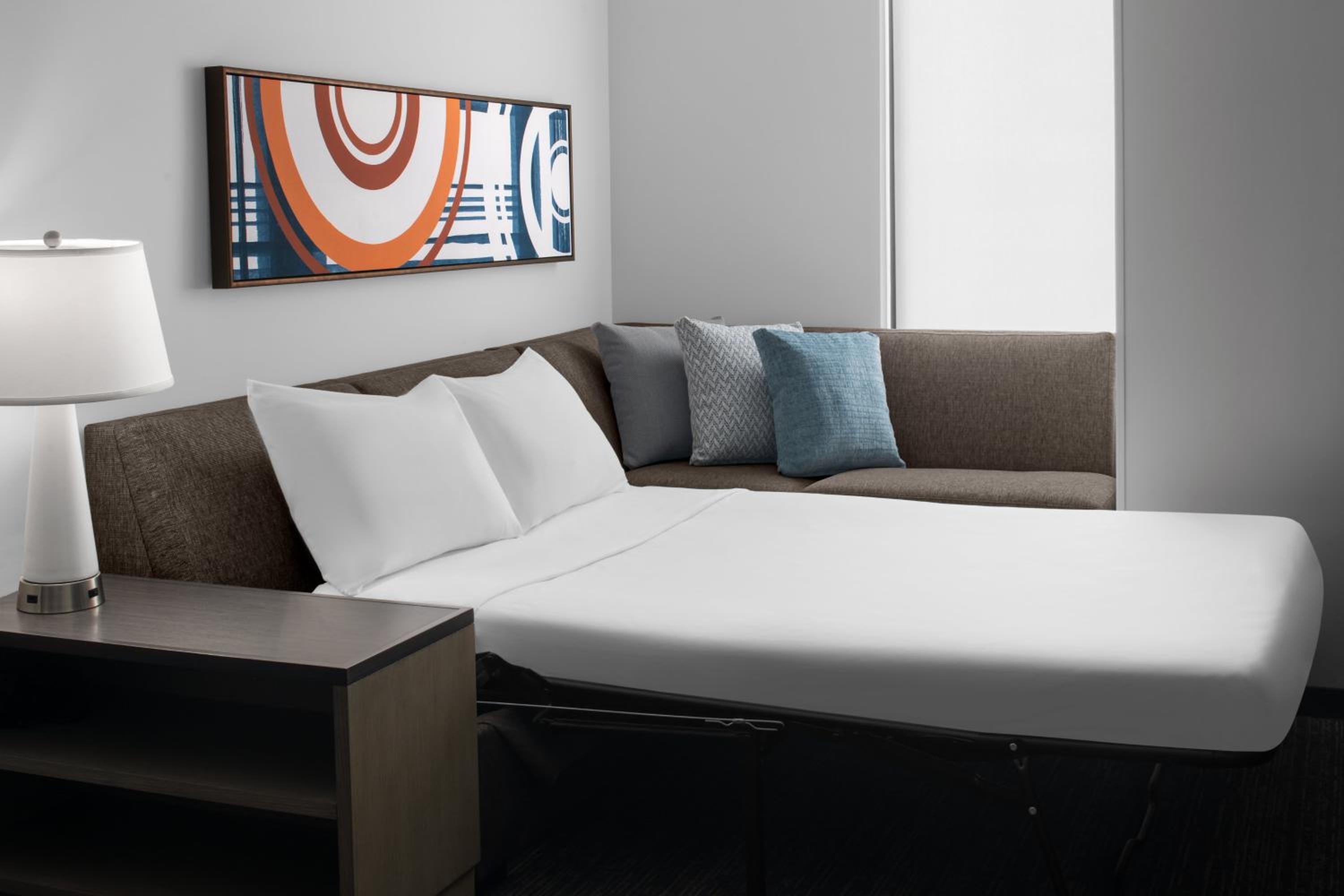 Queen Studio Suite with Sofa Bed and Roll-In Shower - Kitchen photo 1