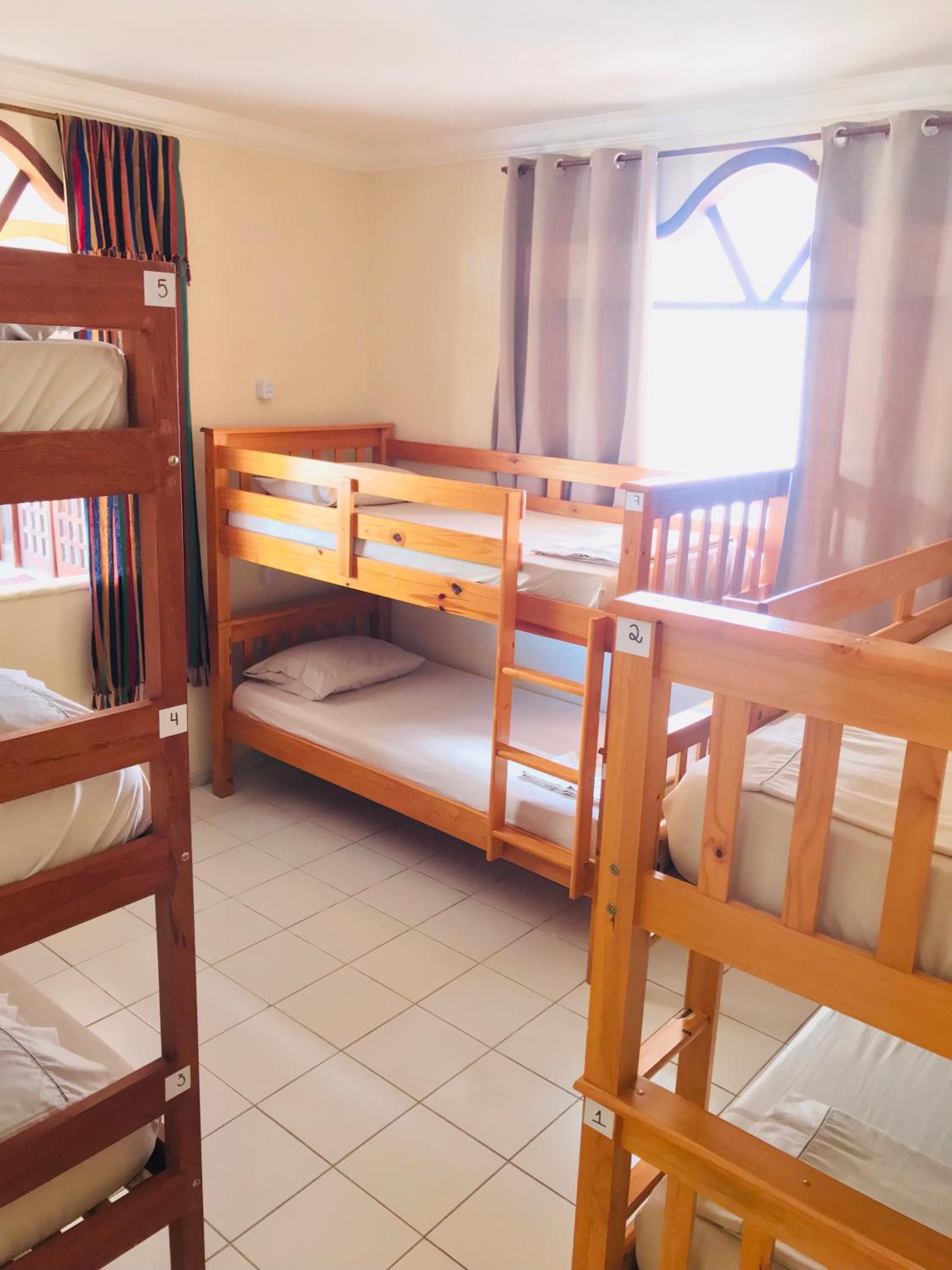 Bunk Bed in Mixed Dormitory Room photo 3