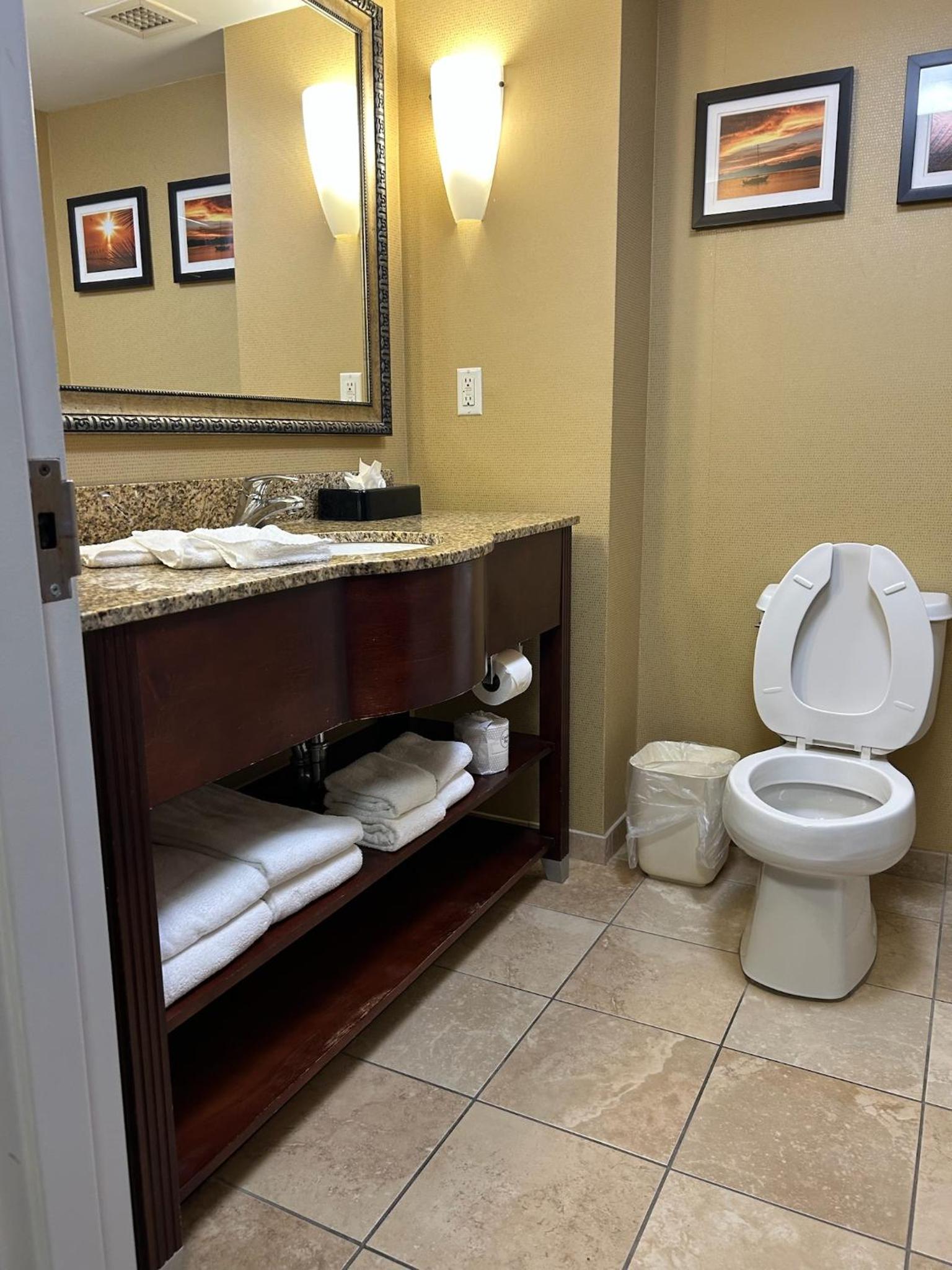 King Suite - Photo 5