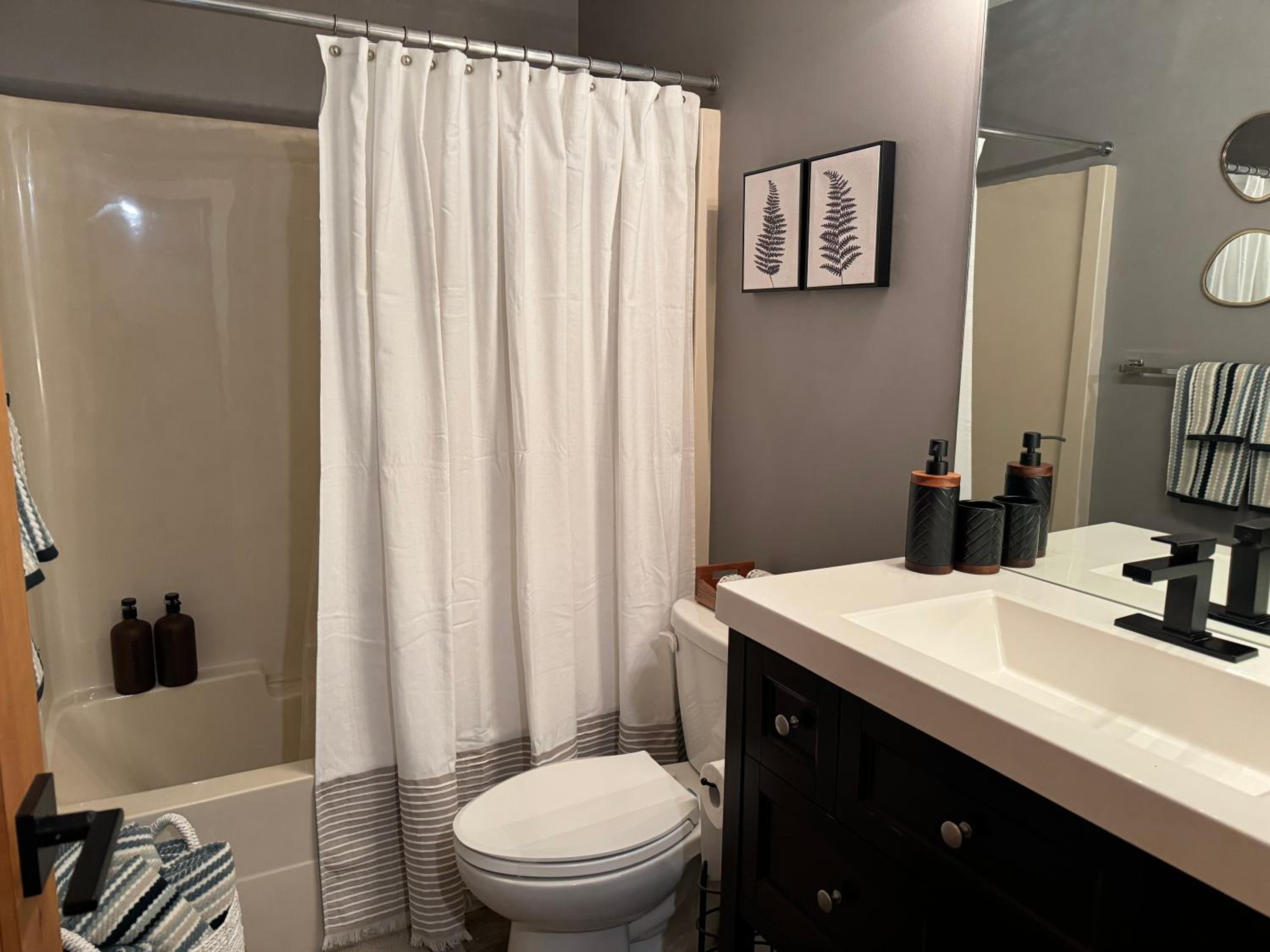 One-Bedroom Apartment photo 2
