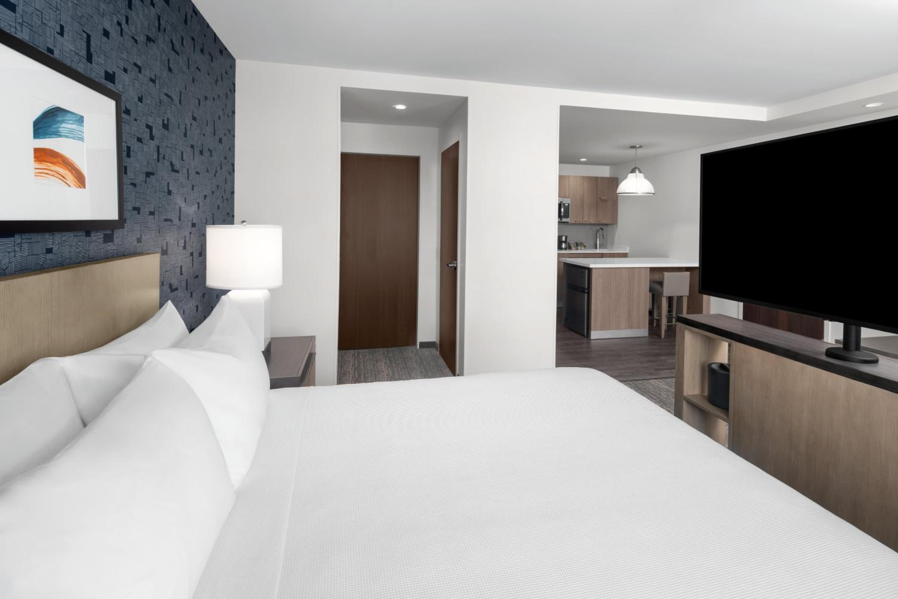 Queen Studio Suite with Sofa Bed and Roll-In Shower - Kitchen photo 3