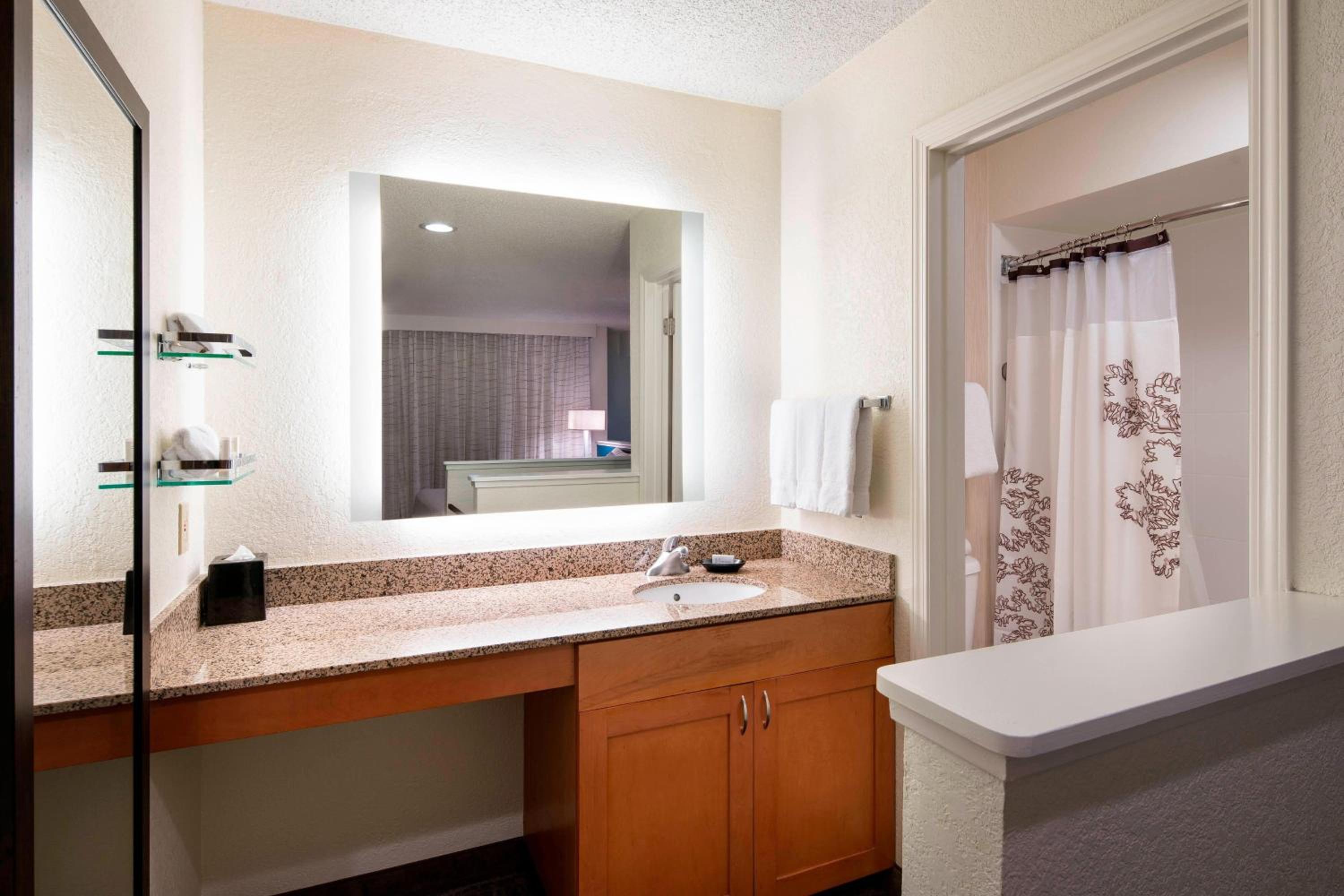 Penthouse Suite - Photo 7
