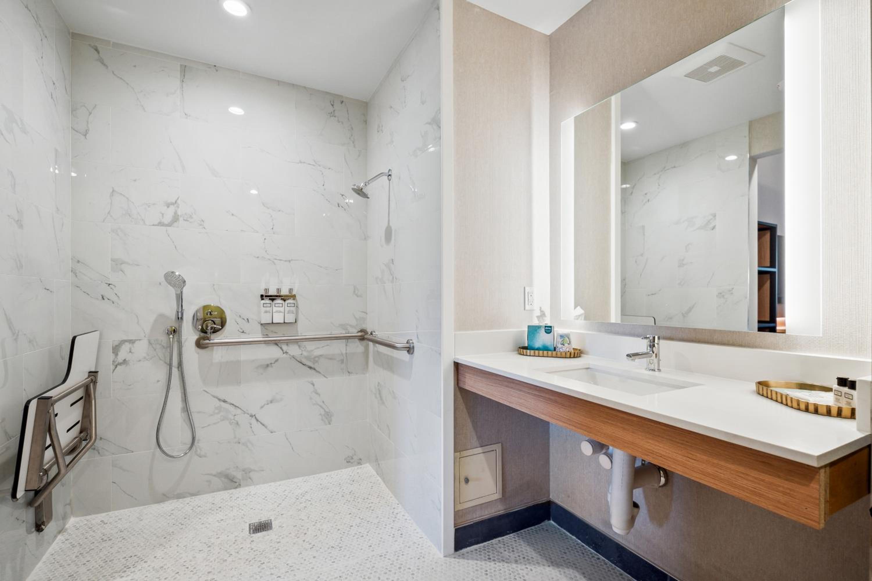 King Room with Roll-In Shower - Disability Access photo 3