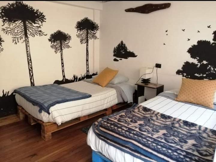 Standard Twin Room with Shared Bathroom photo 1