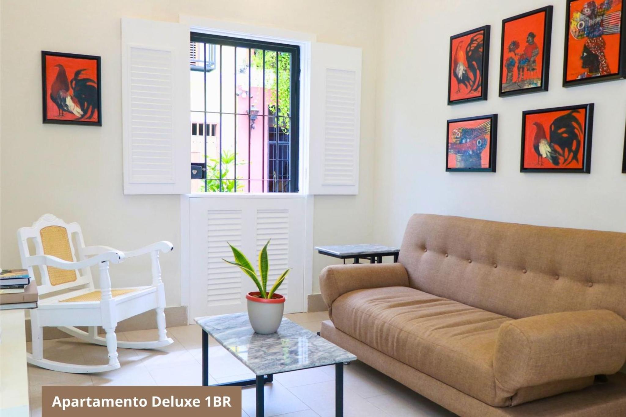 Deluxe One-Bedroom Apartment