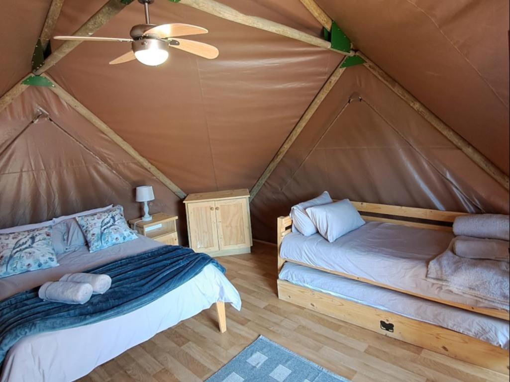 Deluxe Tent photo 1