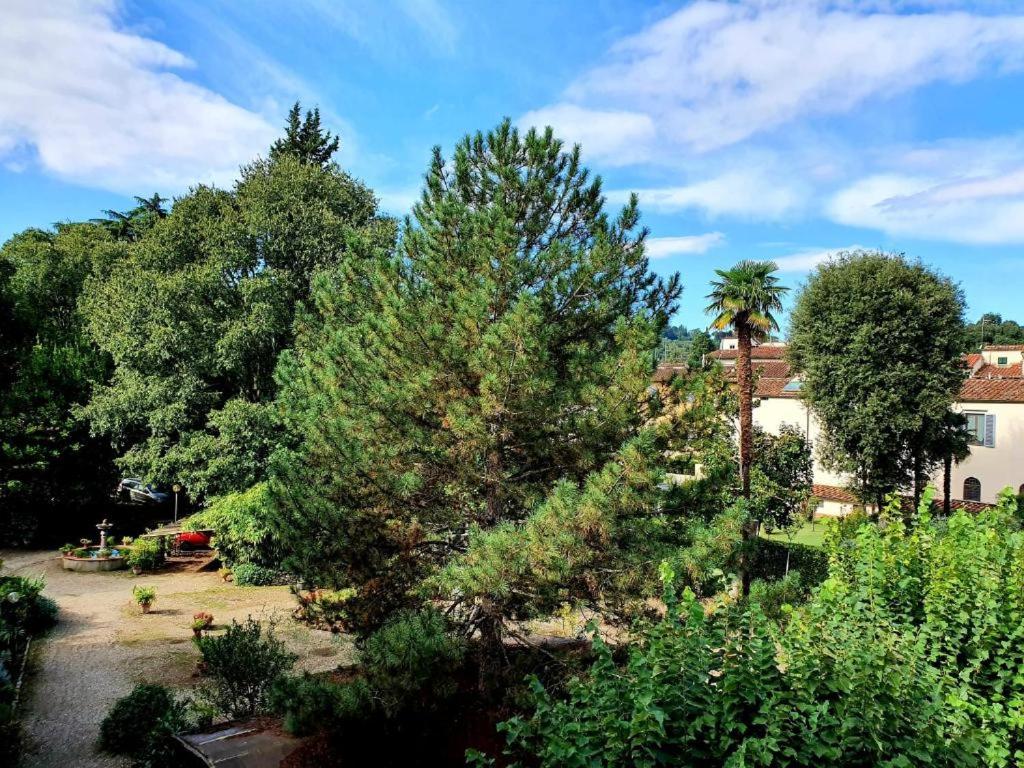 Double Room with Garden View photo 2