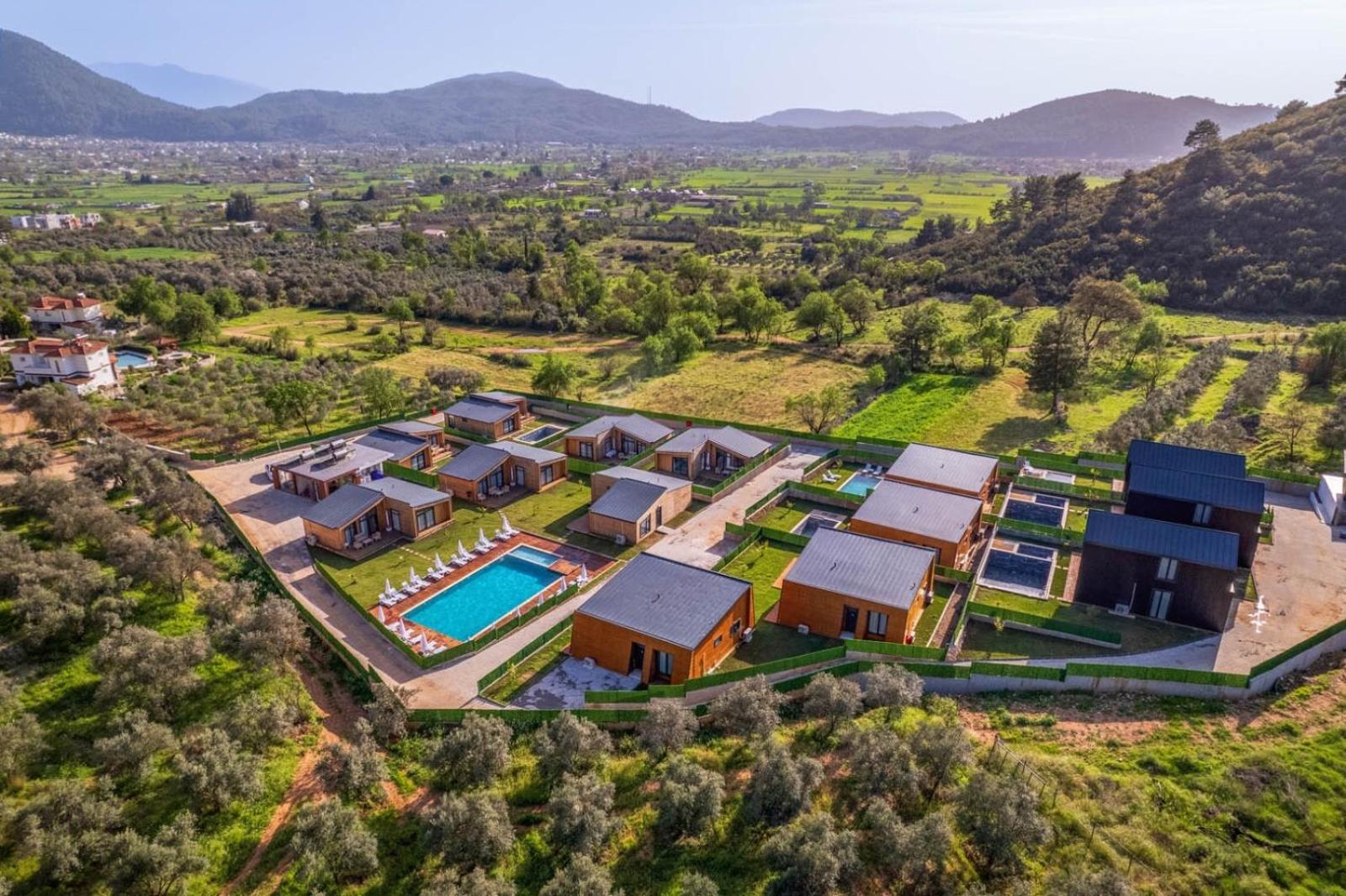 Deluxe Villa photo 2