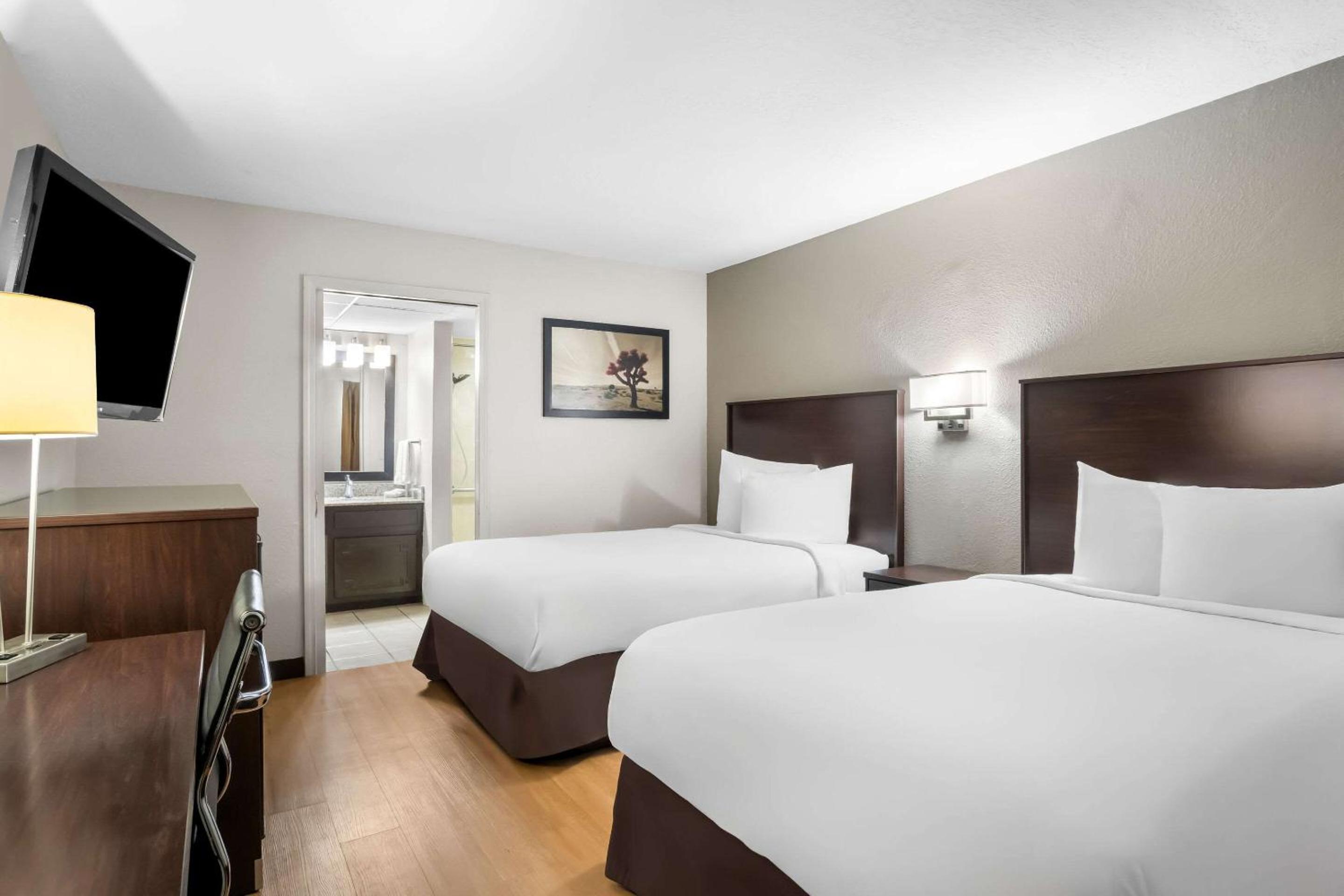 Double Room - Disability Access photo 3