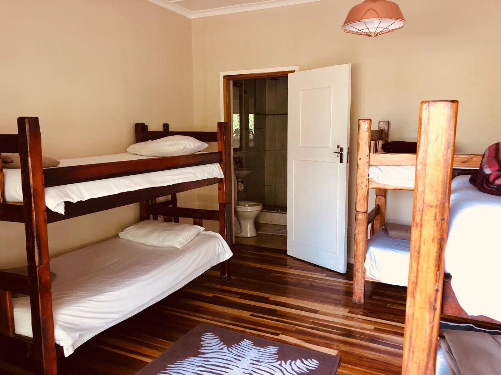 Bed in 6-Bed Mixed Dormitory Room photo 1