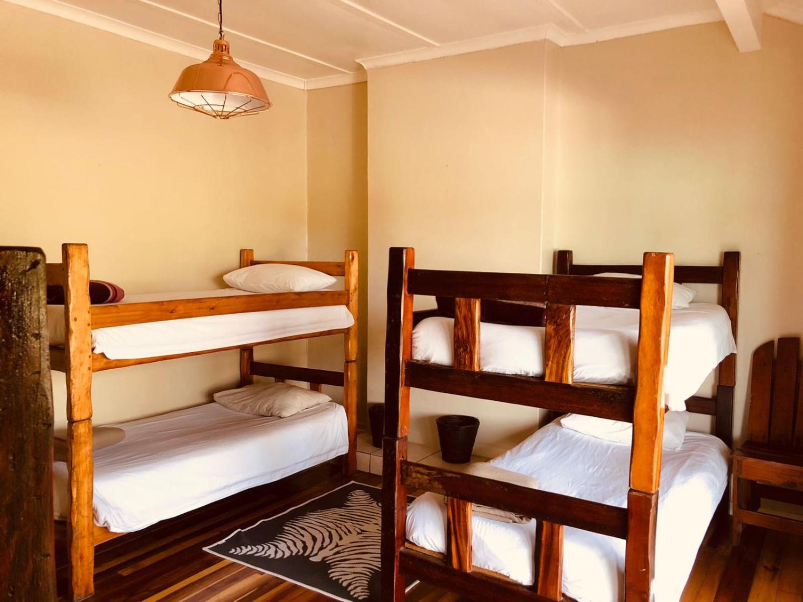 Bed in 6-Bed Mixed Dormitory Room photo 3