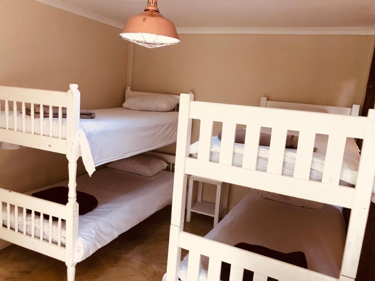 Bunk Bed in Mixed Dormitory Room photo 1