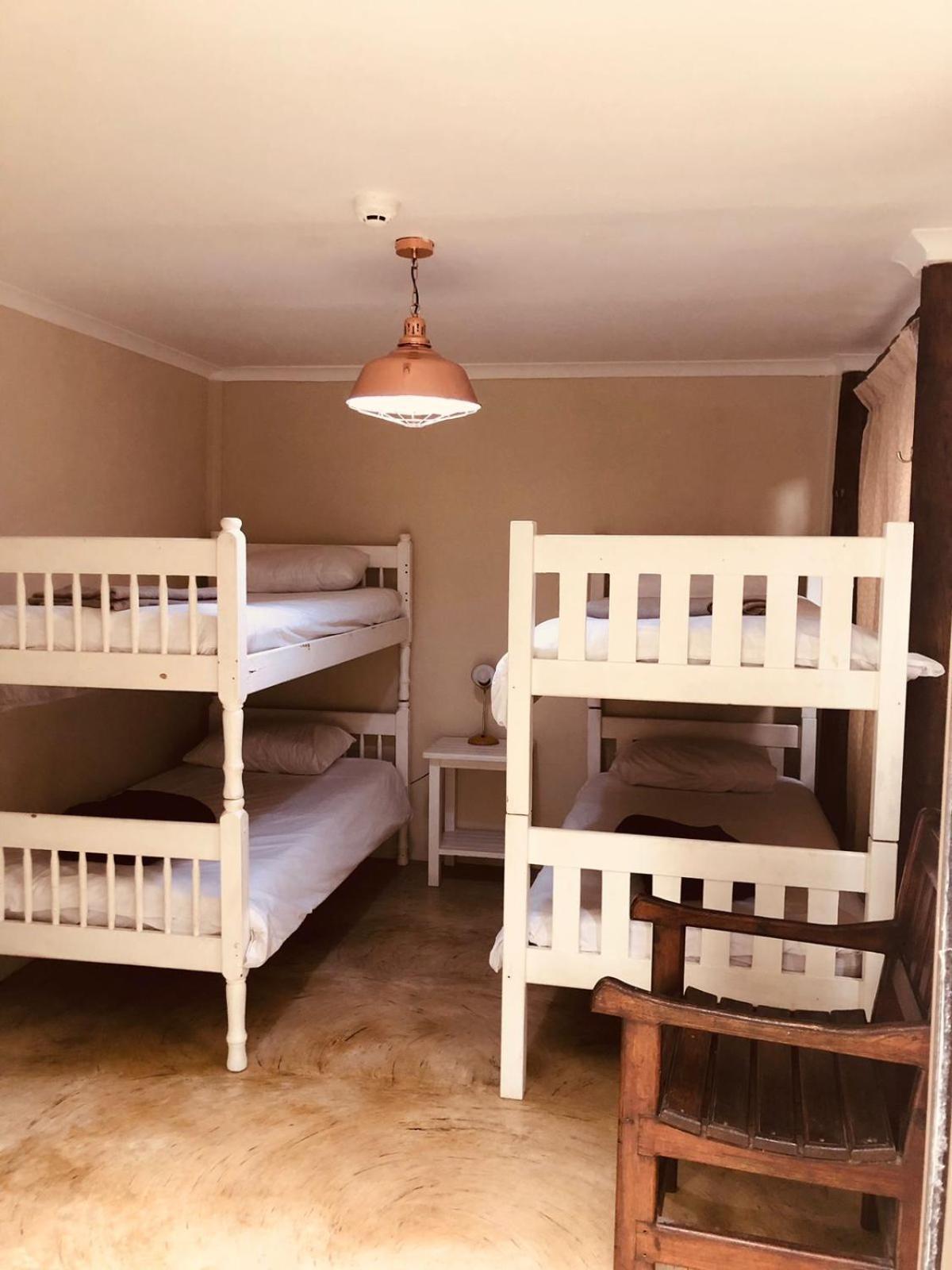 Bunk Bed in Mixed Dormitory Room photo 2