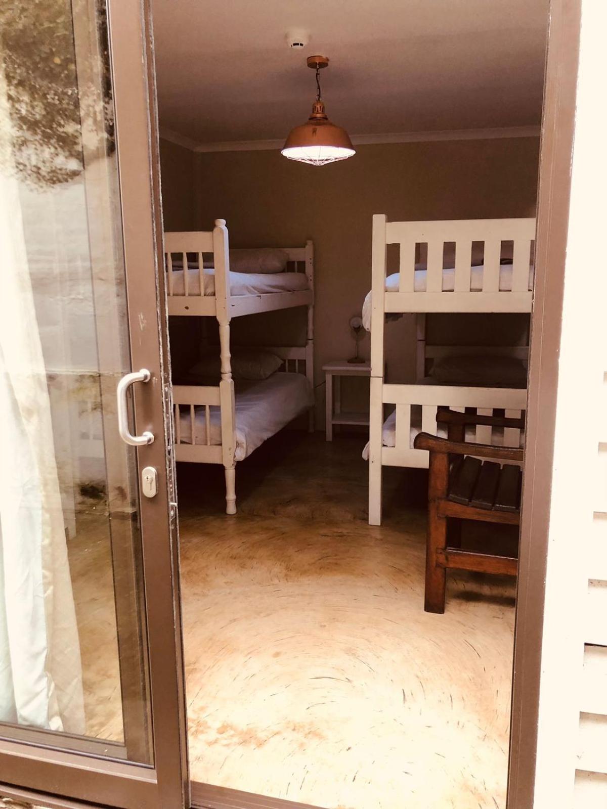 Bunk Bed in Mixed Dormitory Room photo 3