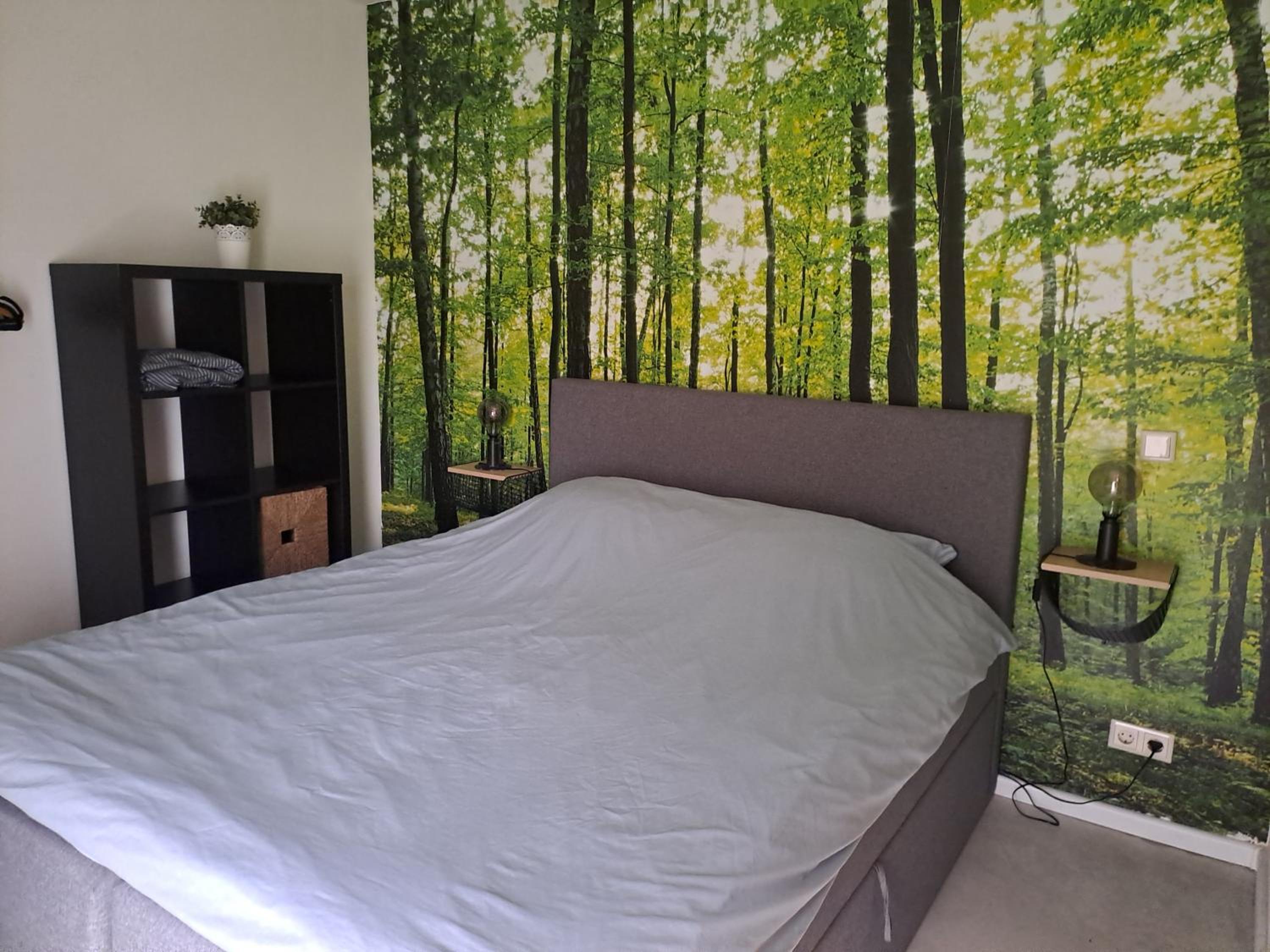 Apartment photo 1