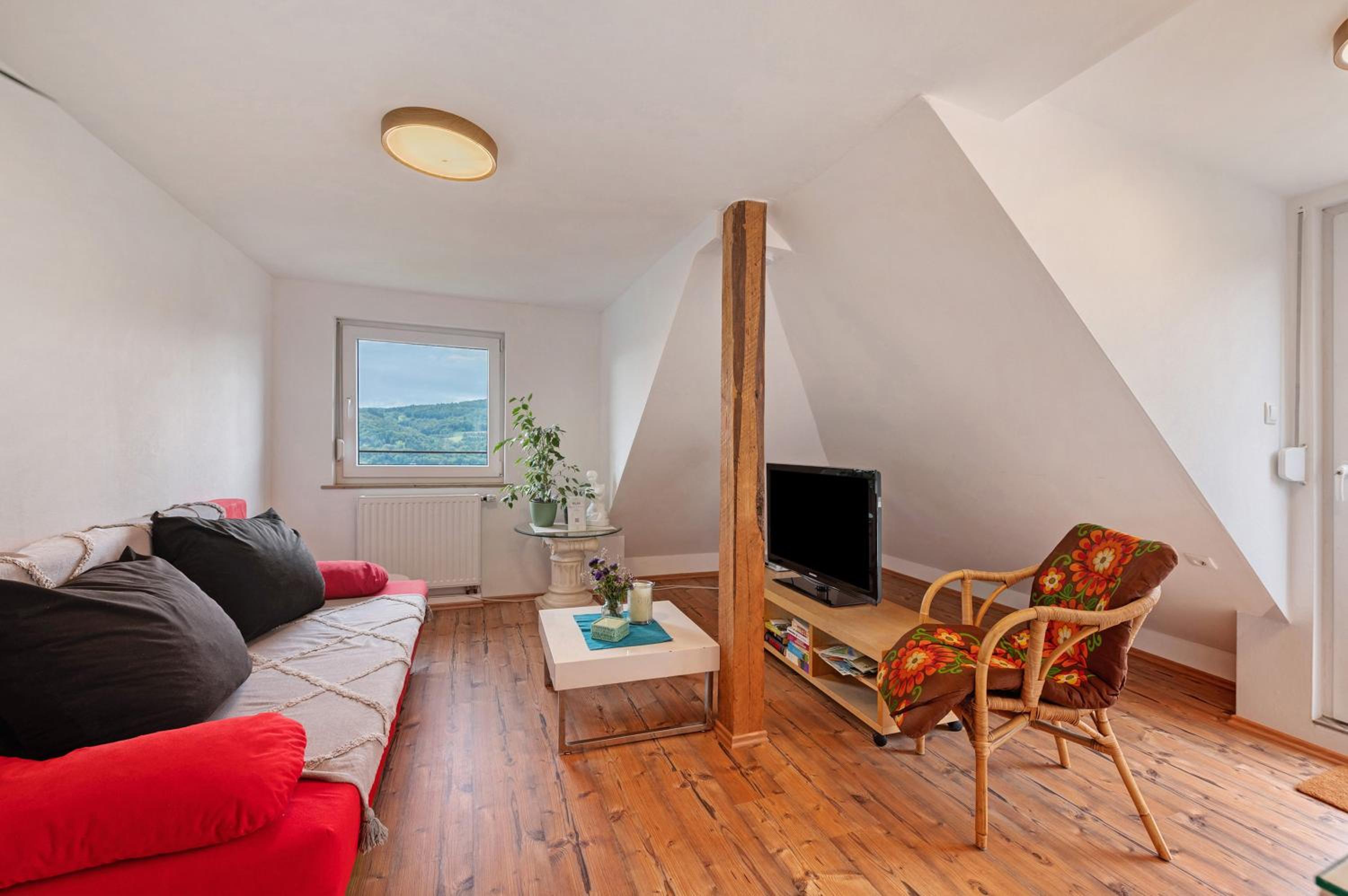 Superior Apartment with City View