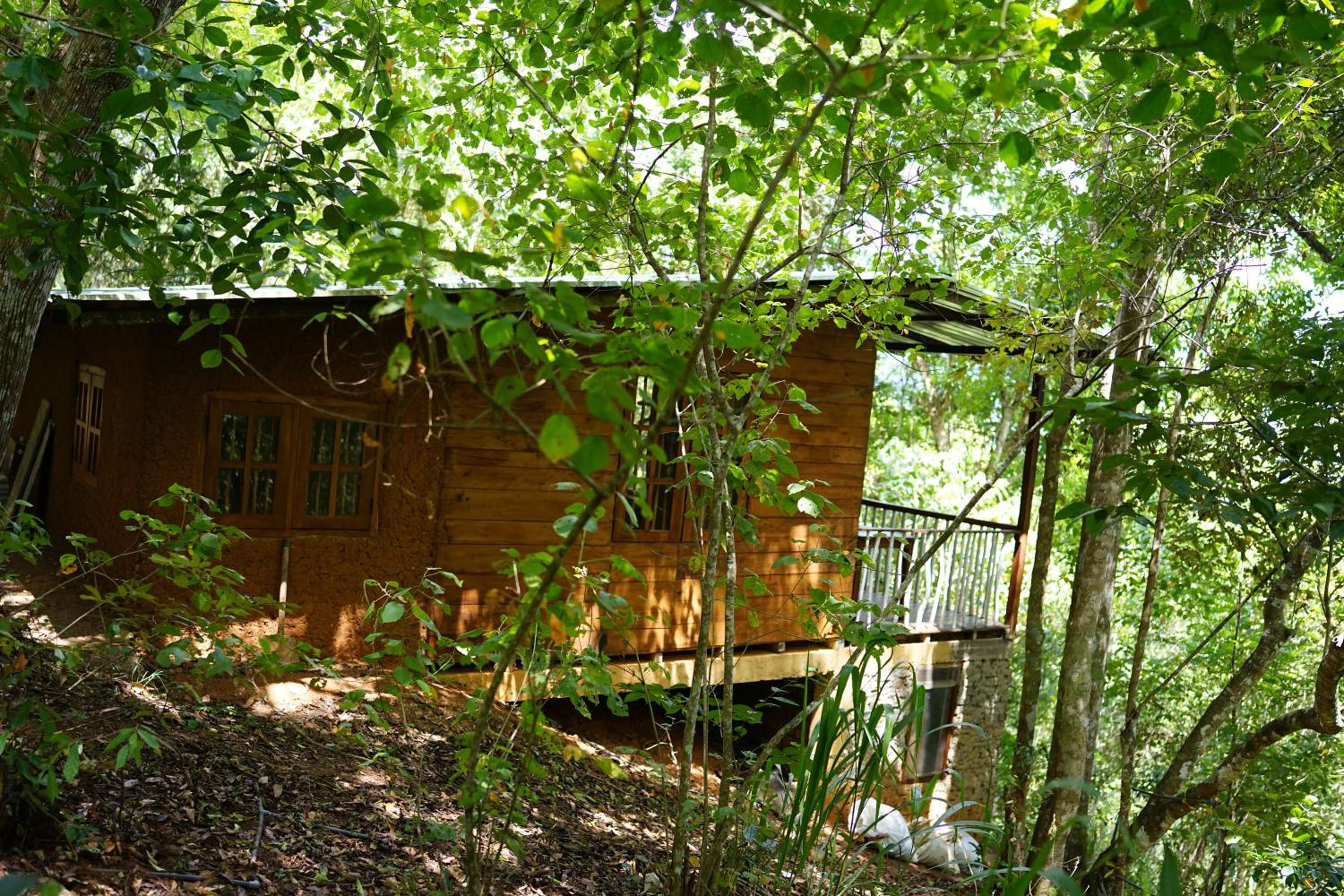 One-Bedroom Chalet (Annex) photo 3
