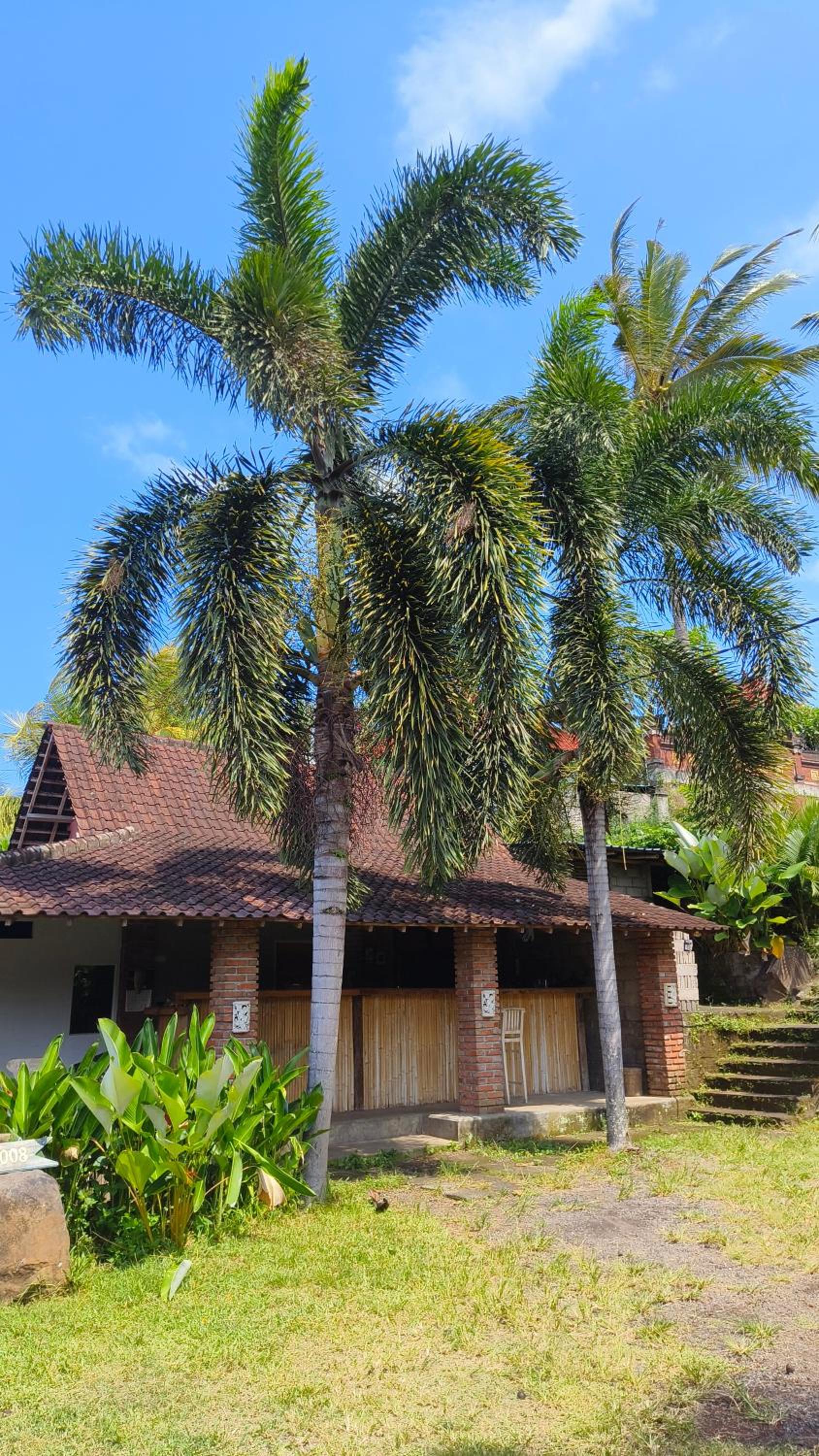 Deluxe Bungalow photo 3