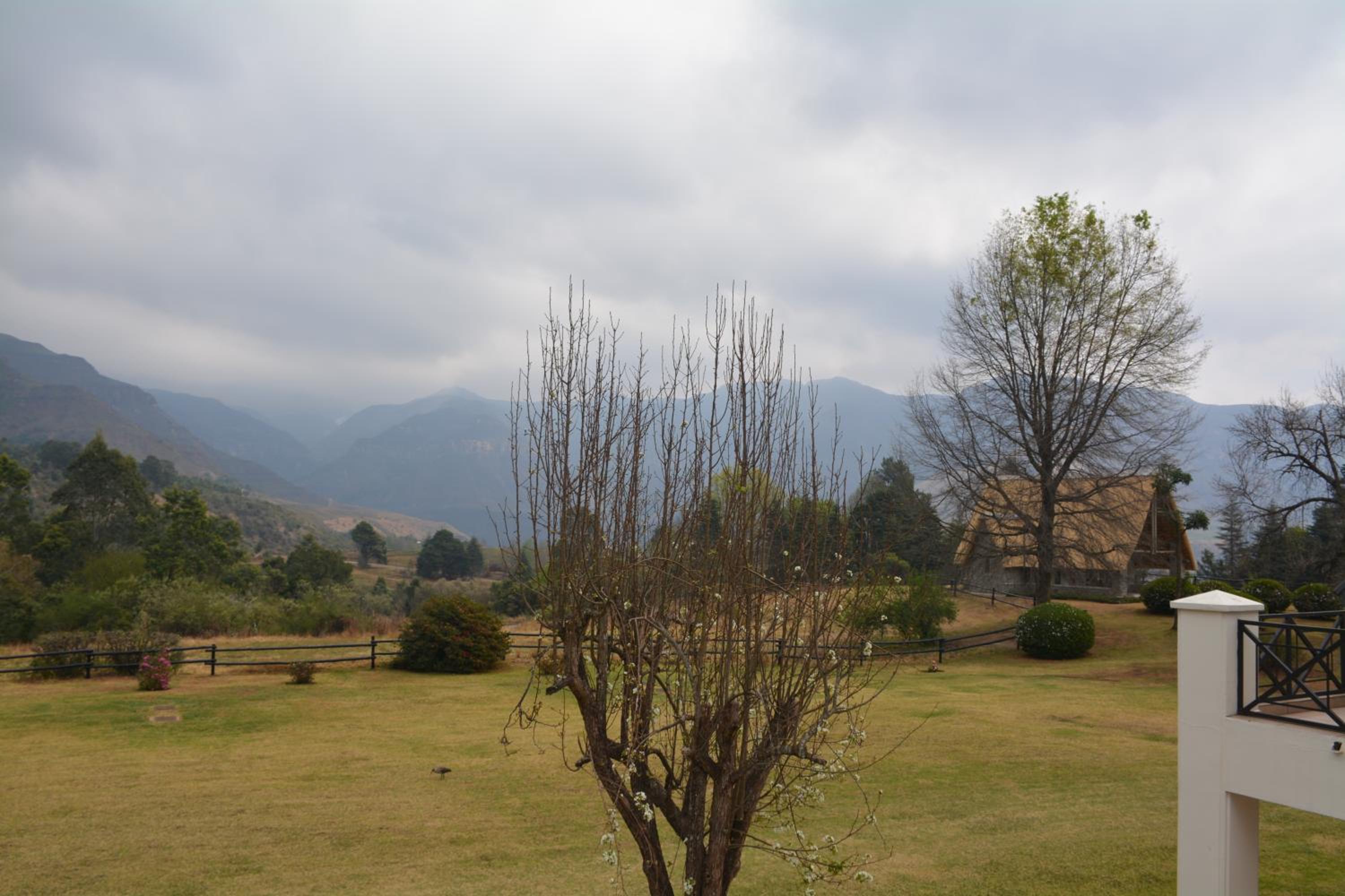 Deluxe Double or Twin Room with Mountain View photo 3
