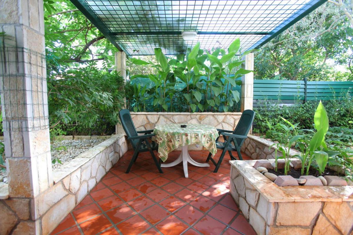 Studio with Terrace photo 2