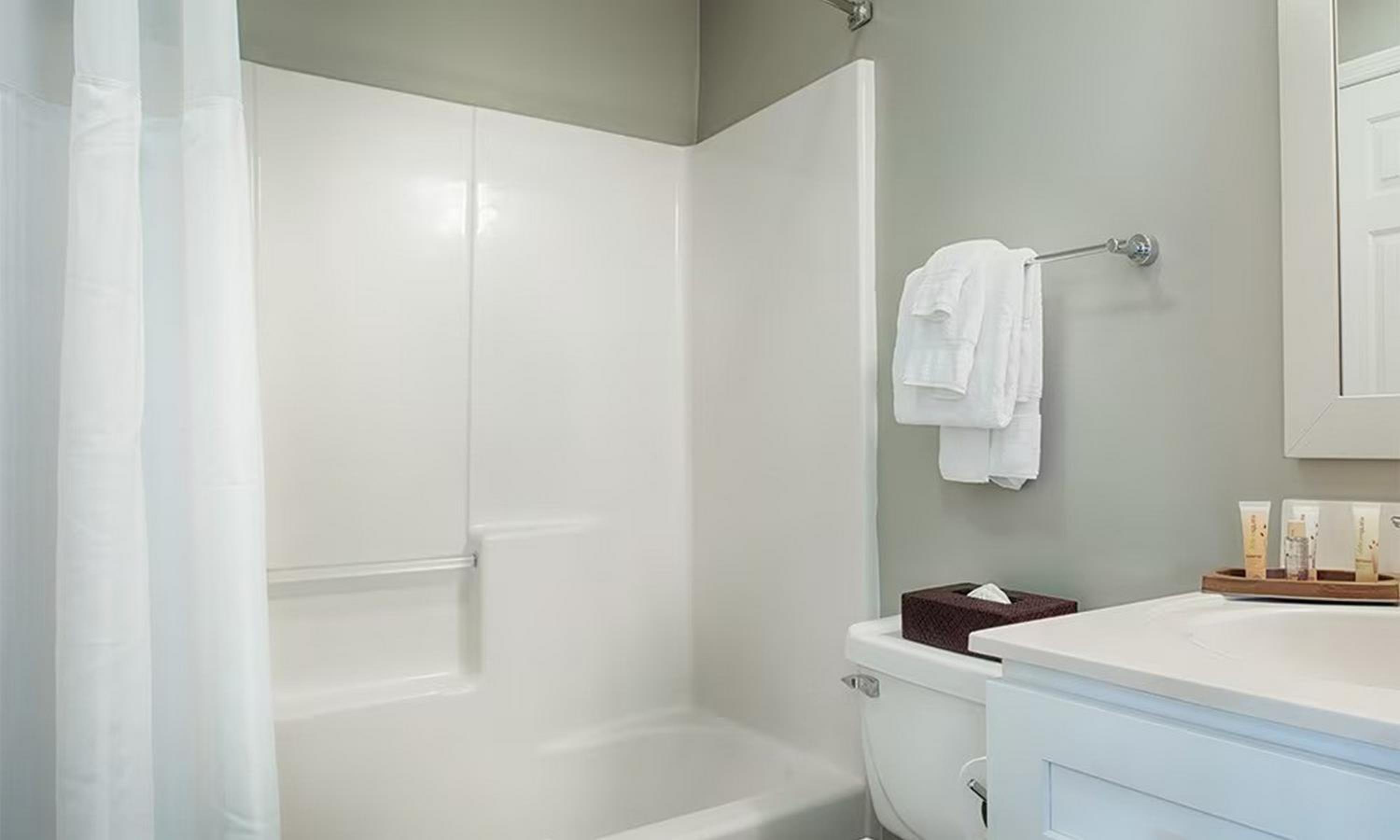 One-Bedroom Apartment photo 3