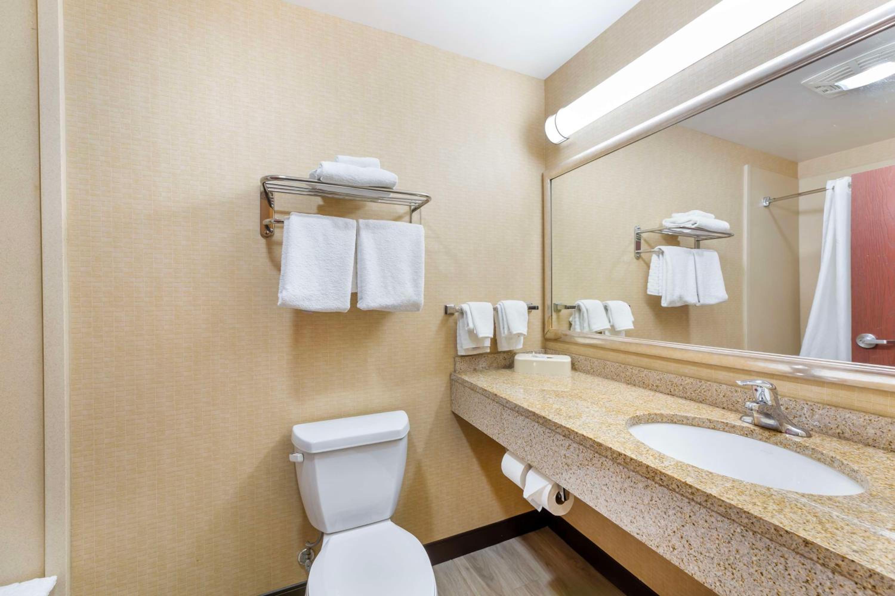 King Suite - Non-Smoking photo 3