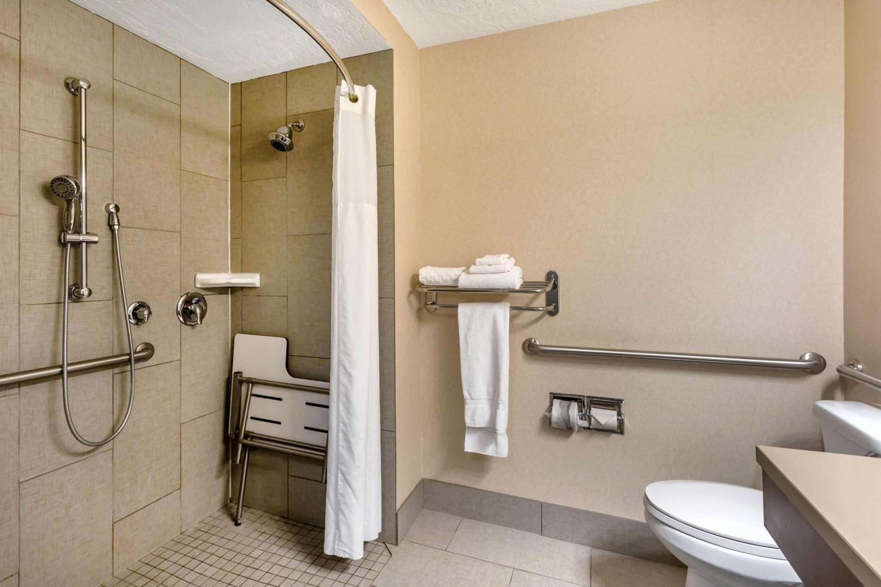King Room with Sofa Bed and Roll-In Shower - Disability Access - Photo 4