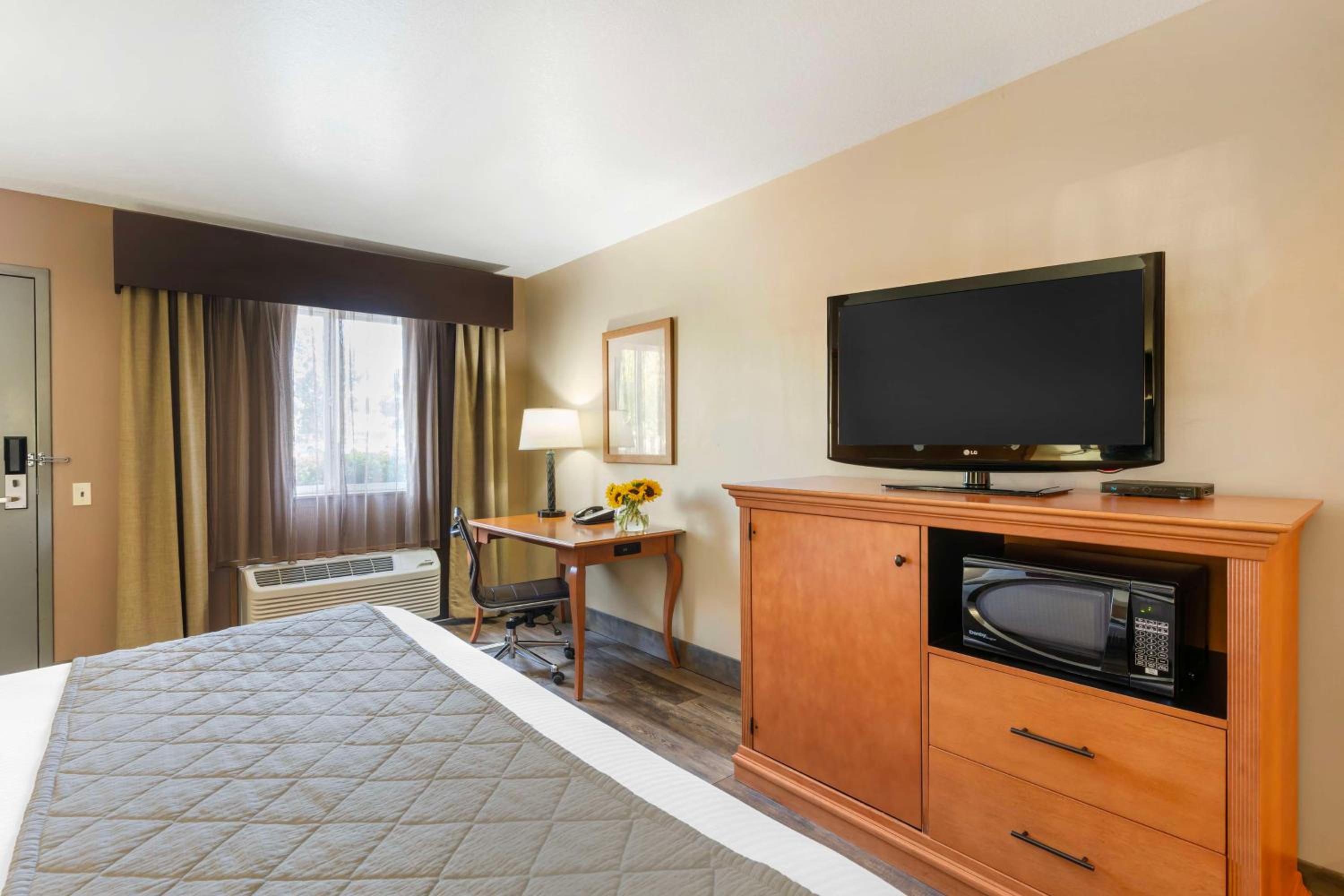 Queen Room - Disability Access photo 3