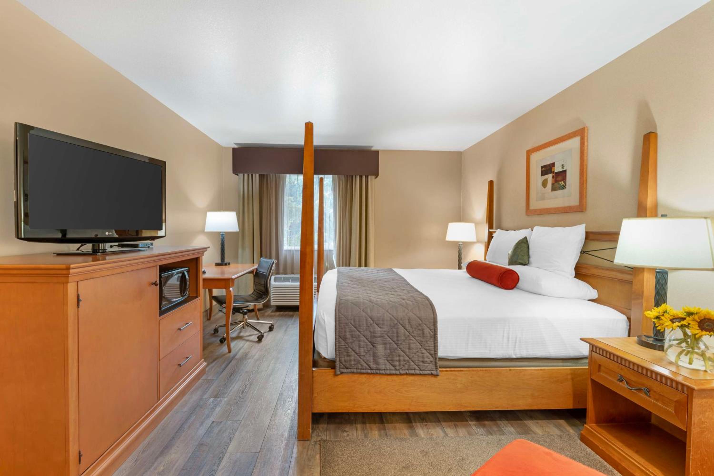 King Room photo 3