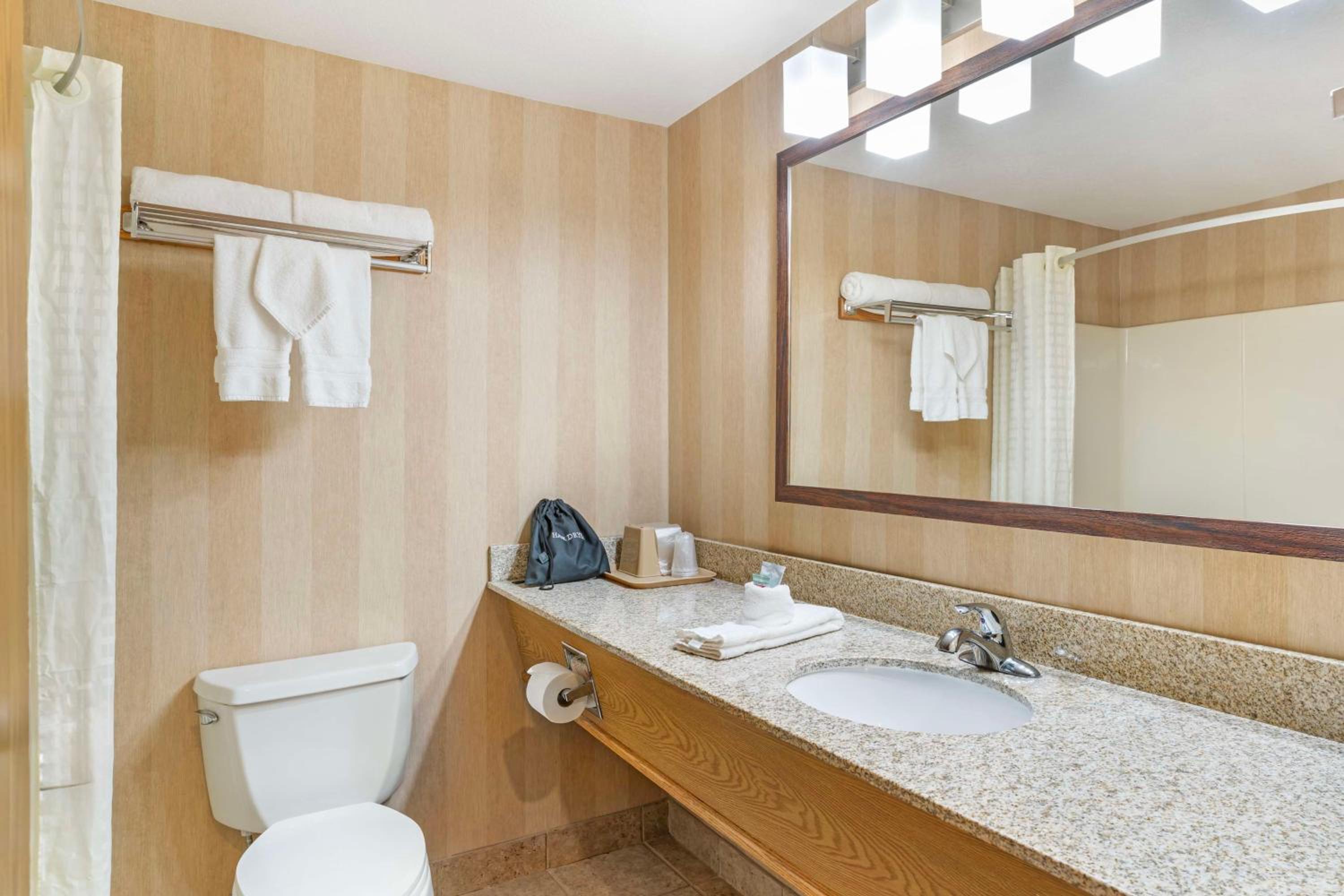King Room photo 2