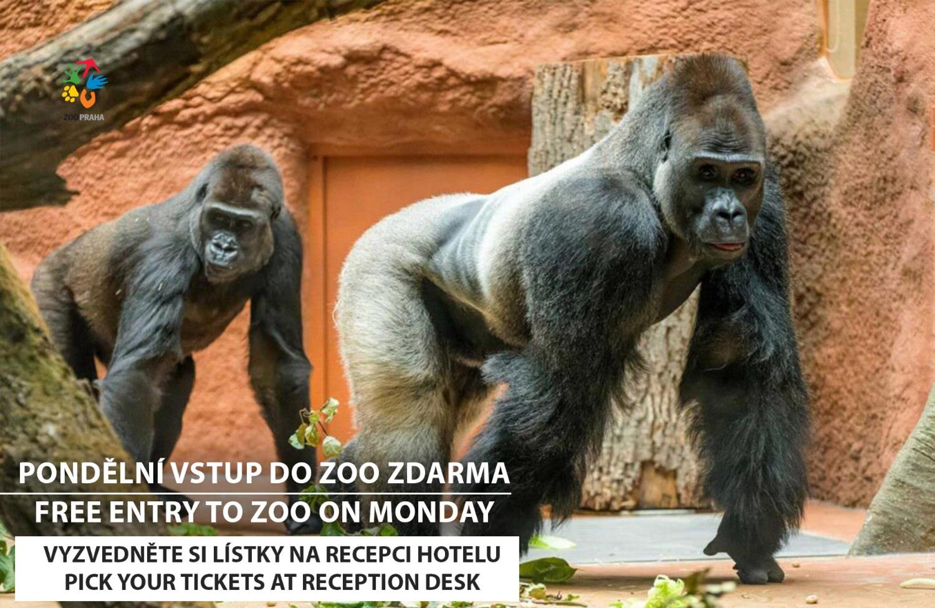 Standard Room with Free ZOO Entry